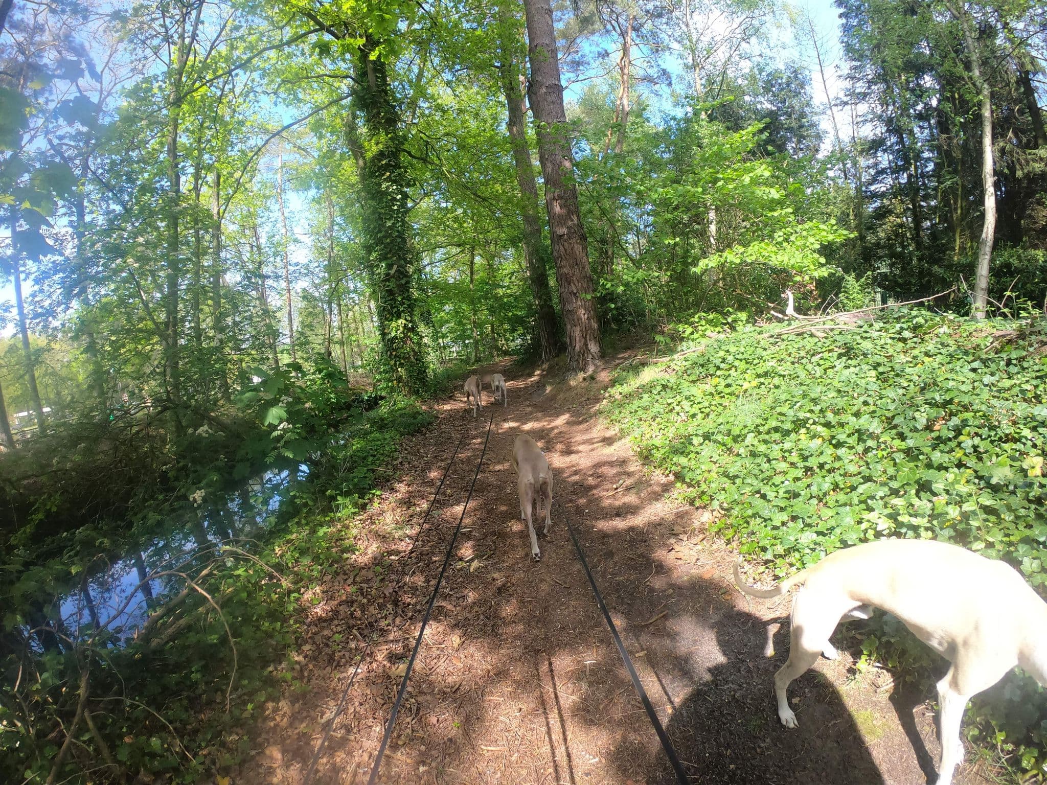 Street view near Camping Berkenstrand, Retie — © escada (CC BY-SA · Mapillary)