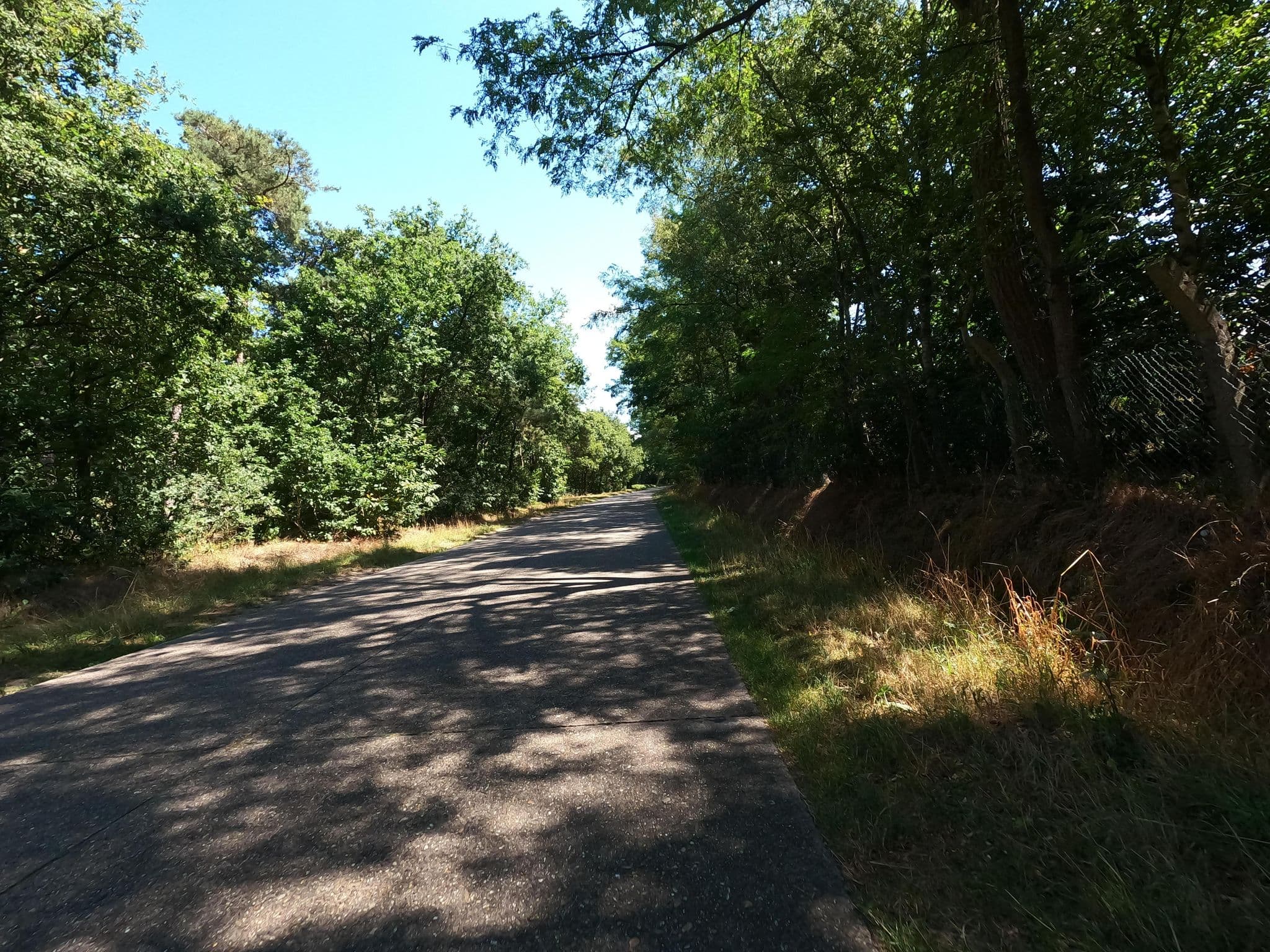 Street view near Jamboree Minicamp schimmelvrije tent 1 troep 10, Tielen — © koninklijke (CC BY-SA · Mapillary)