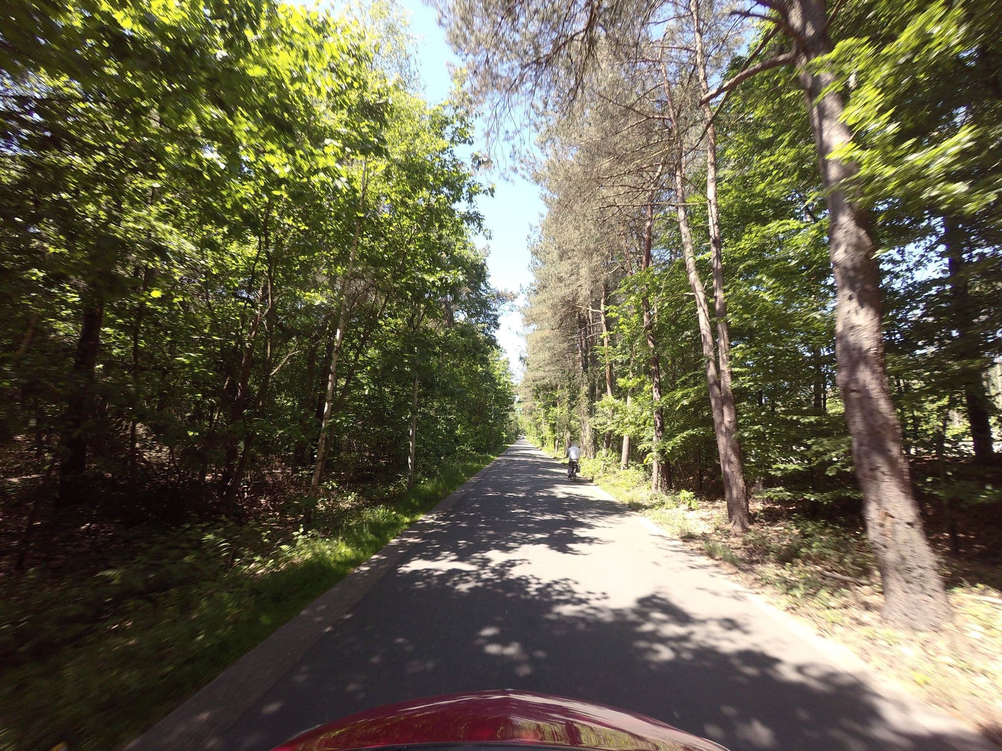 Street view near Cottage 179, Lommel — © filipc (CC BY-SA · Mapillary)