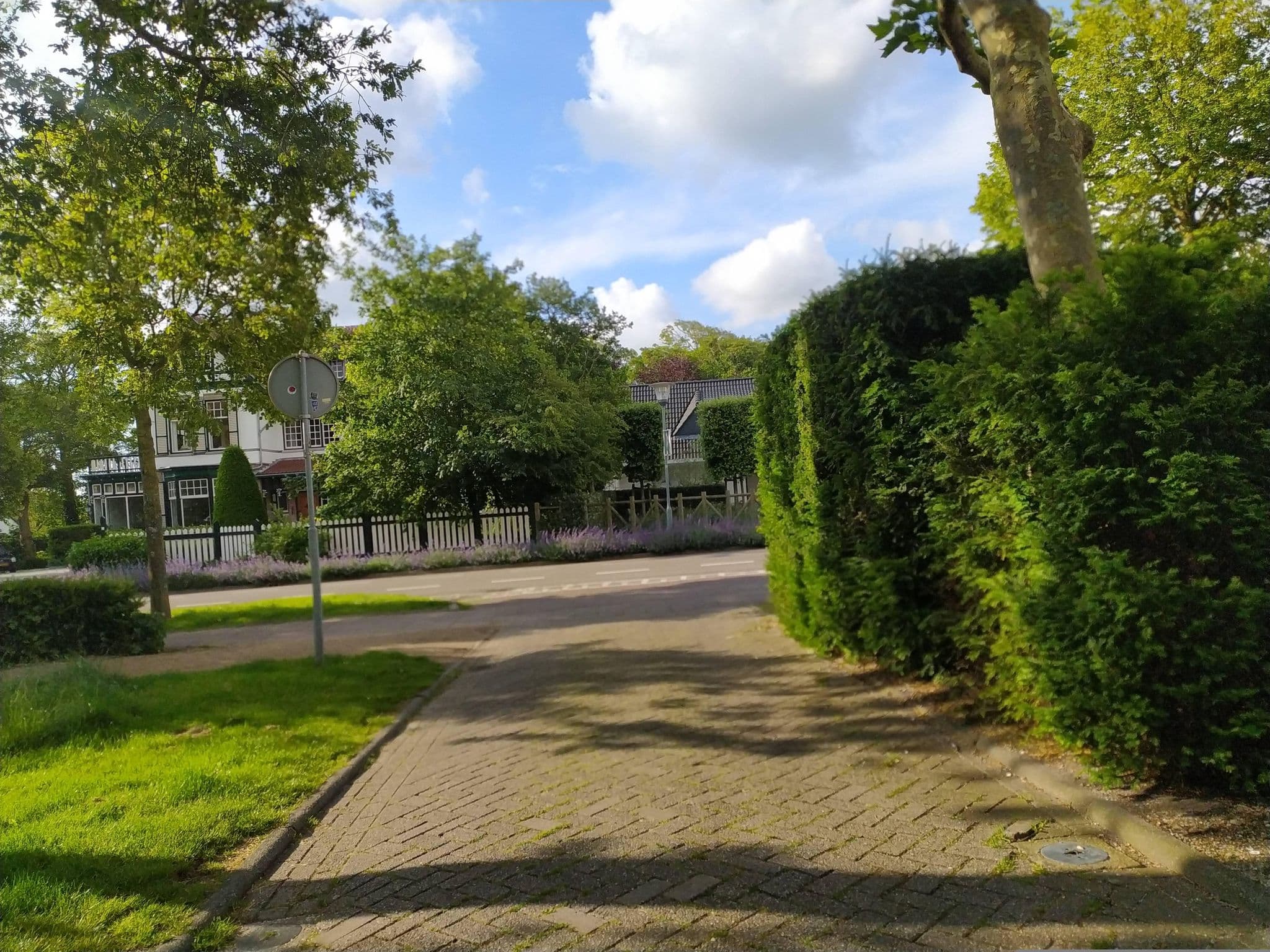 Street view near Mezger Thalasso Center Dr, Domburg — © steinm (CC BY-SA · Mapillary)