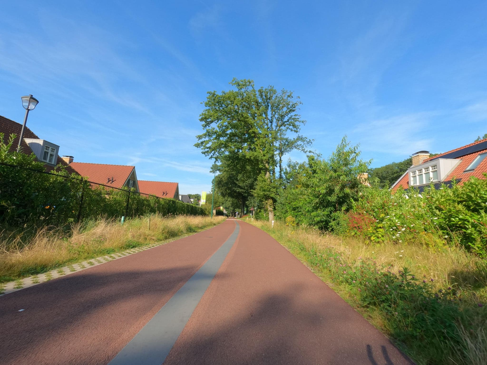 Street view near Landal Kaatsheuvel, Waalwijk — © hektor1989 (CC BY-SA · Mapillary)