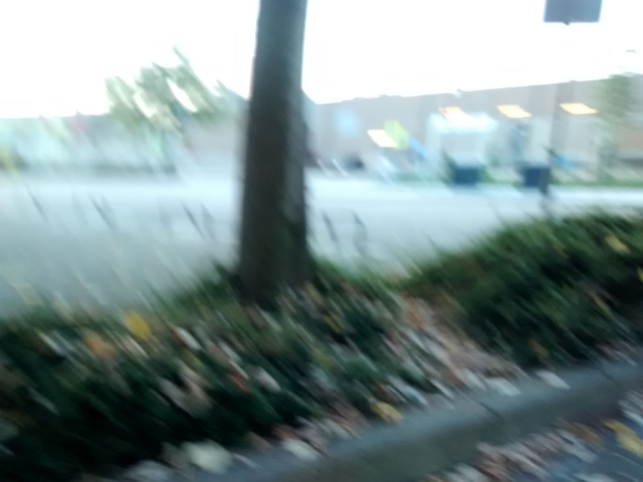 Street view near Blie Bloe Blabla, Nieuwegein — © dandandan (CC BY-SA · Mapillary)