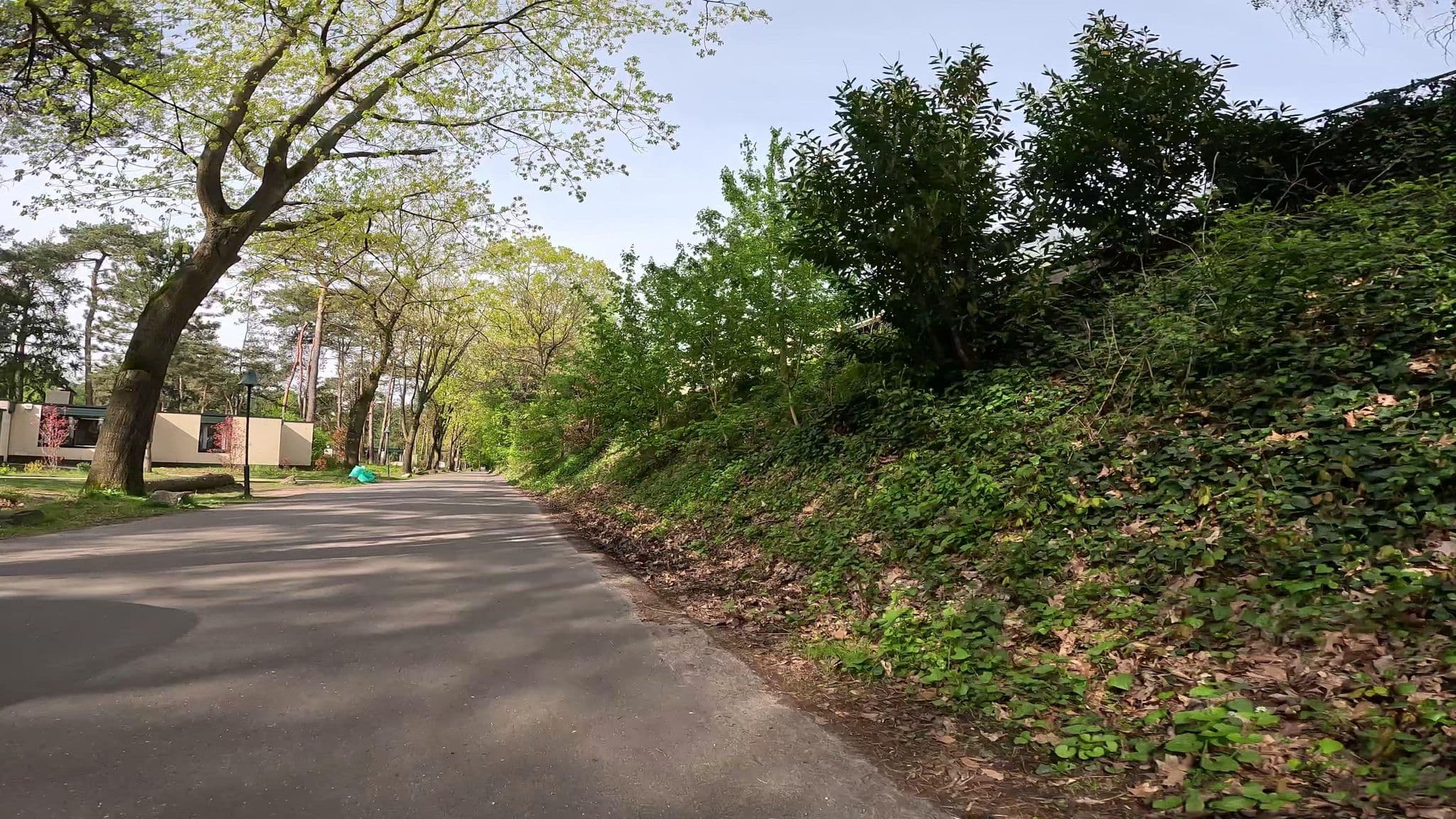 Street view near Cottage 333, Dommelen — © tjorim (CC BY-SA · Mapillary)