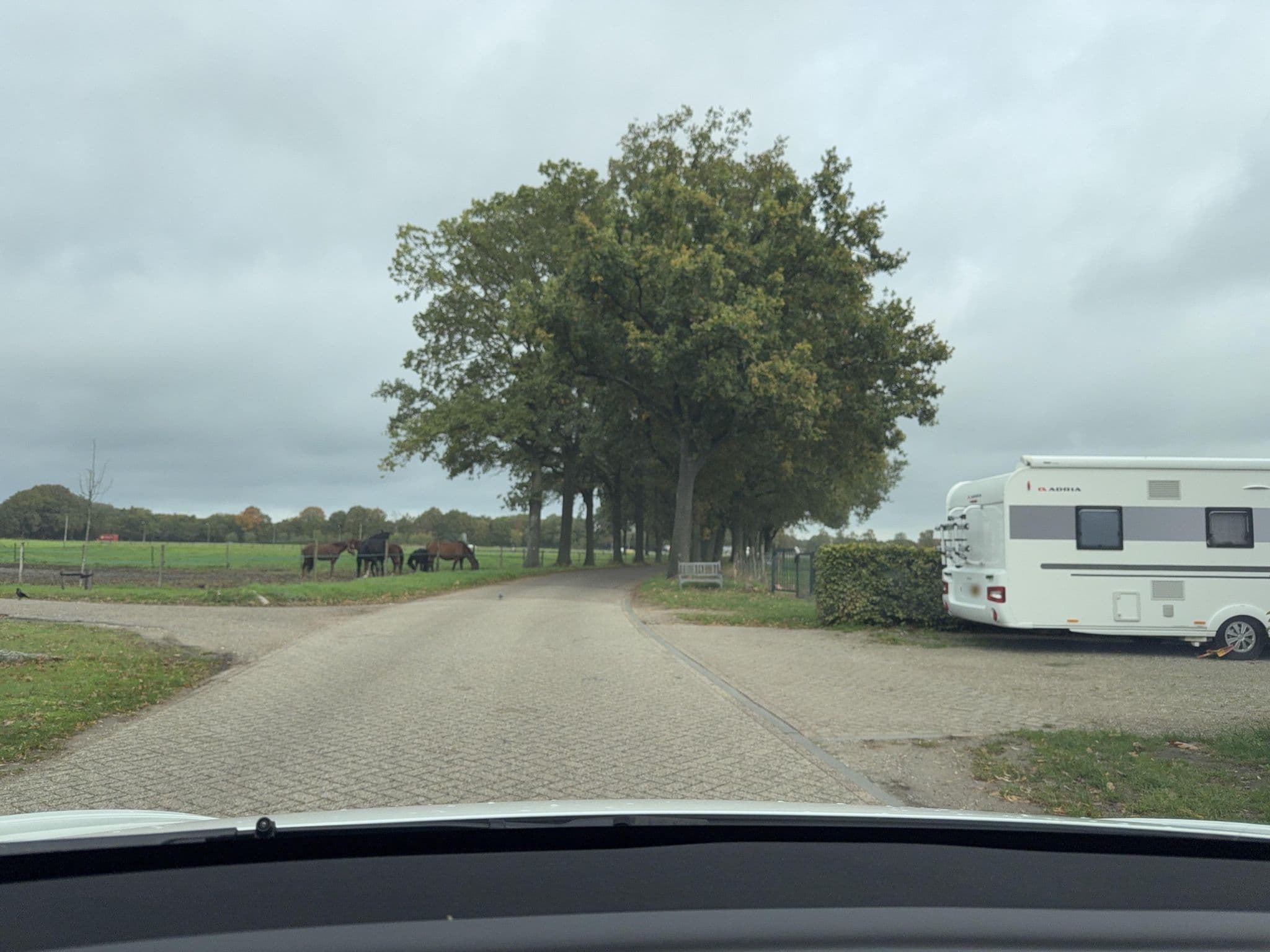 Street view near B & B de Vlinder, Lierop — © ottor (CC BY-SA · Mapillary)