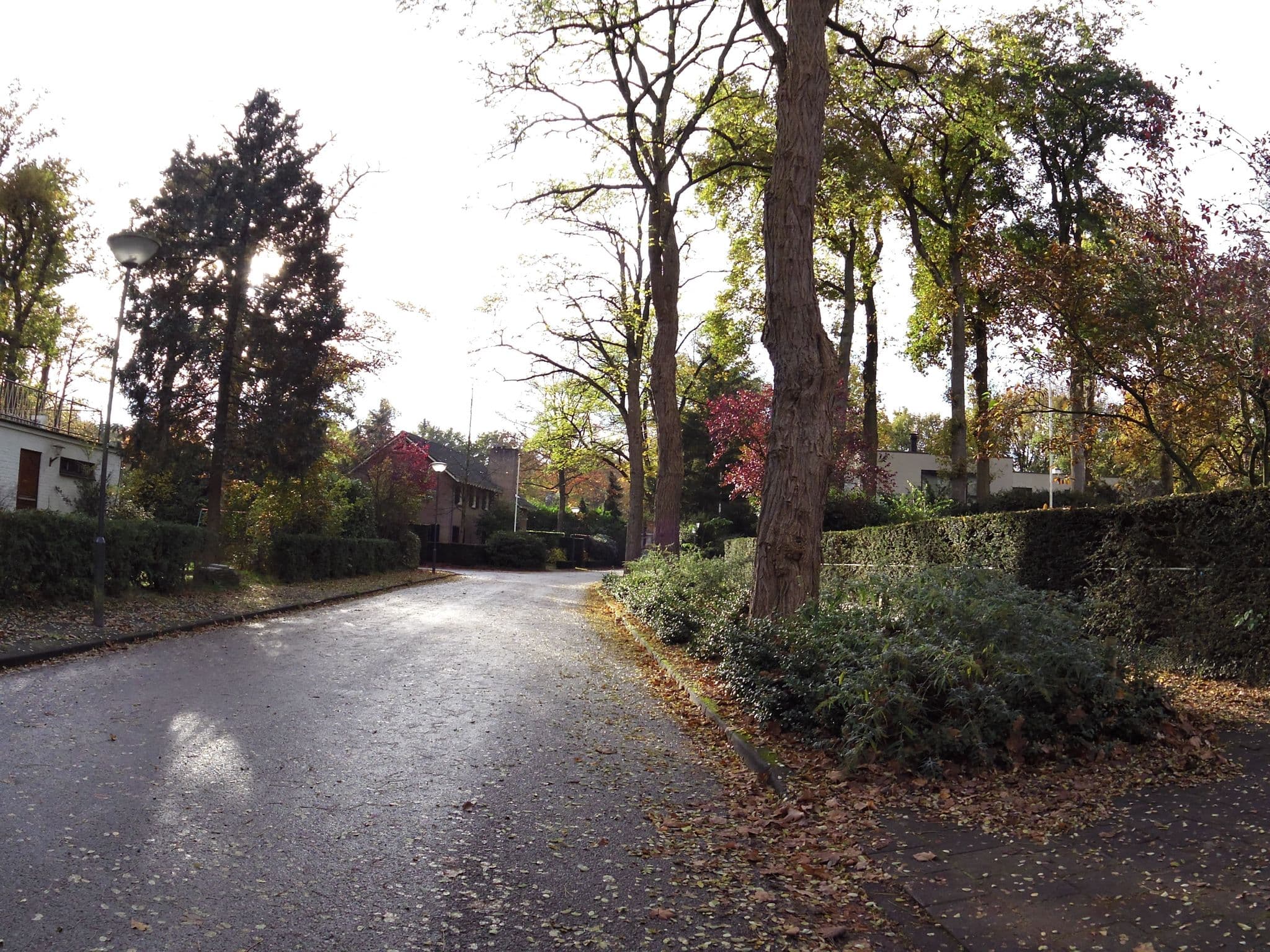 Street view near B&B Cantecleer Vught, Vught — © marczoutendijk (CC BY-SA · Mapillary)