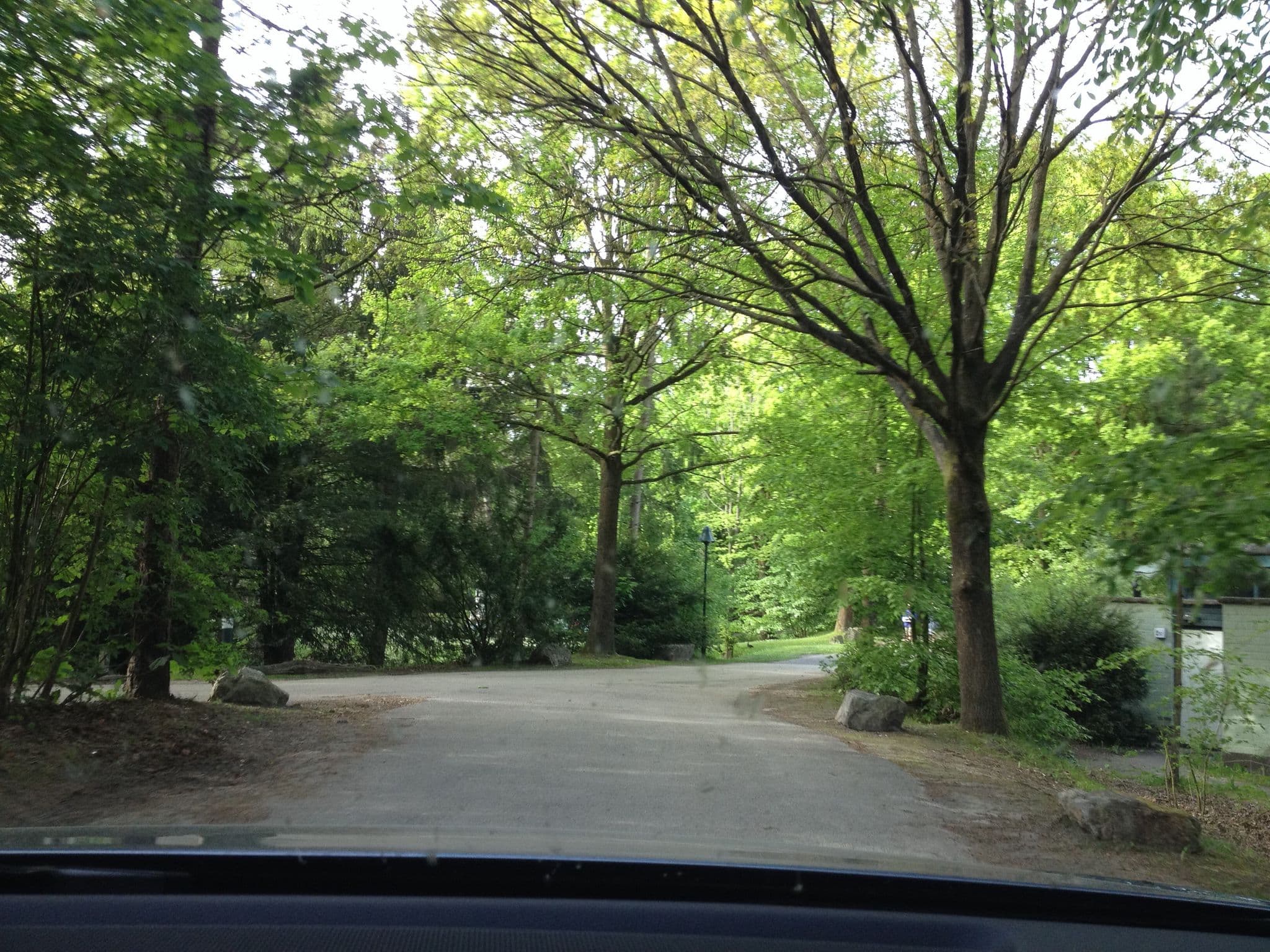 Street view near Cottage 265, Bunschoten — © teddy73 (CC BY-SA · Mapillary)