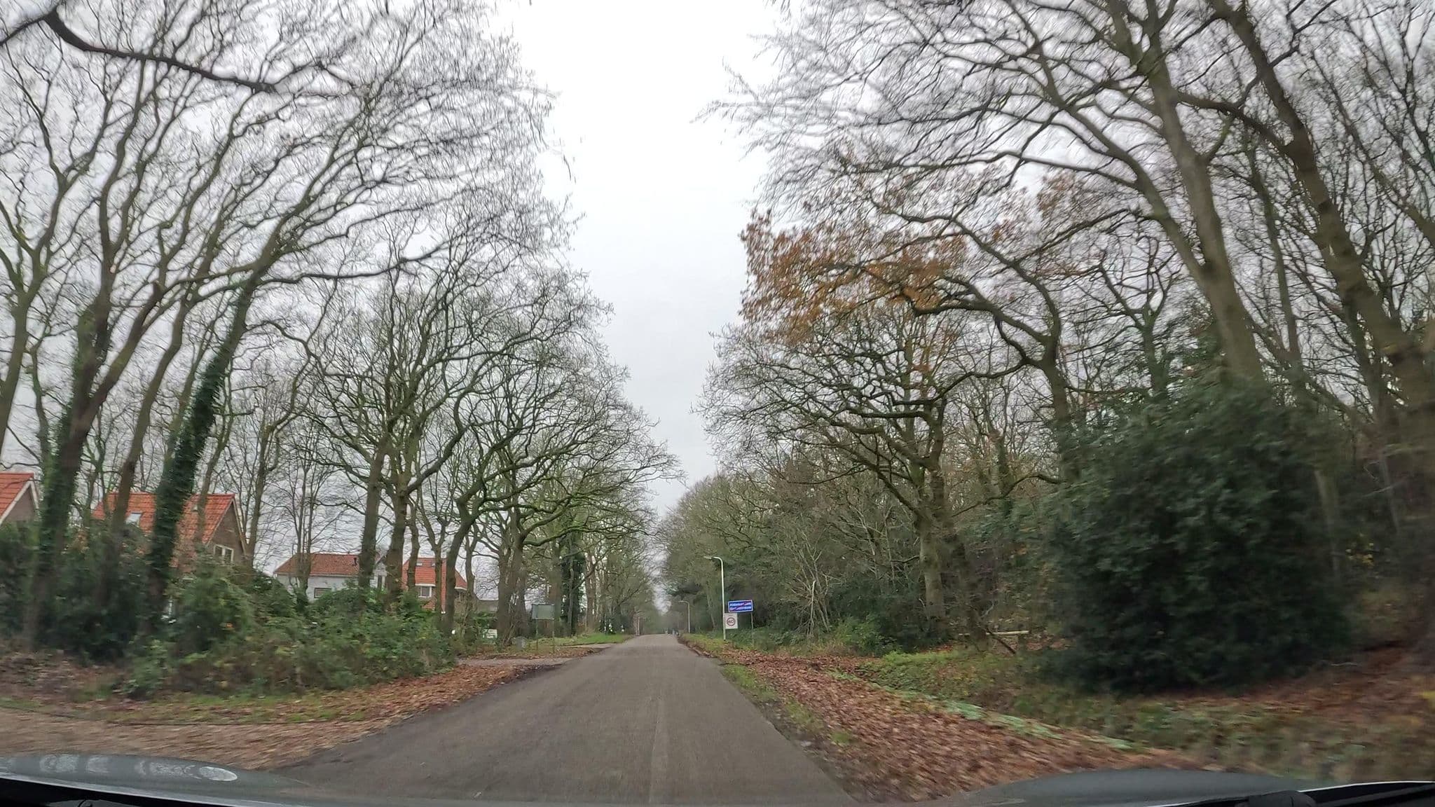 Street view near Residentie Gaasterland, Oudemirdum — © thewizard (CC BY-SA · Mapillary)