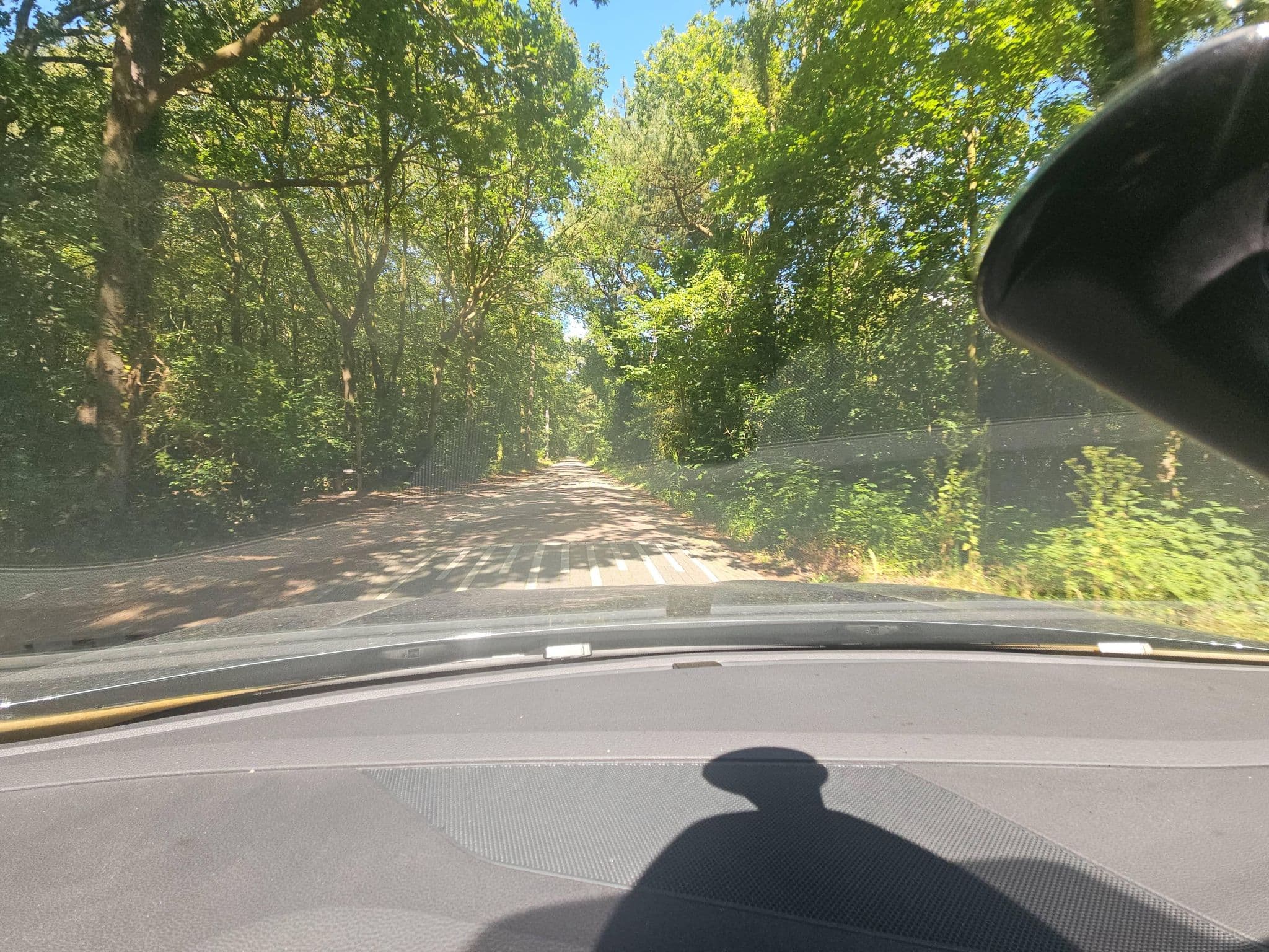 Street view near bee bee bosbungalow, Den Burg — © toho (CC BY-SA · Mapillary)