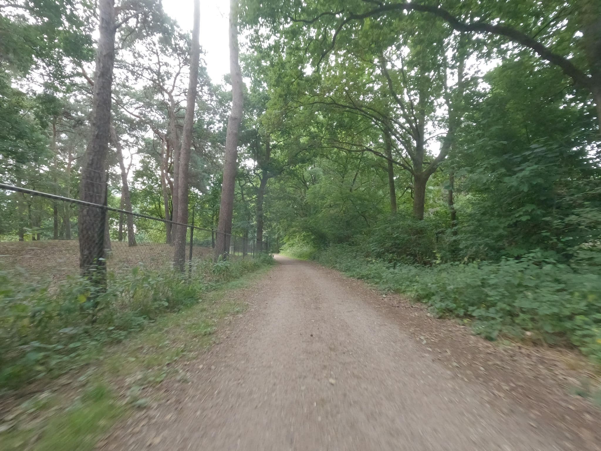 Street view near Cottage 209, Kessel — © hektor1989 (CC BY-SA · Mapillary)