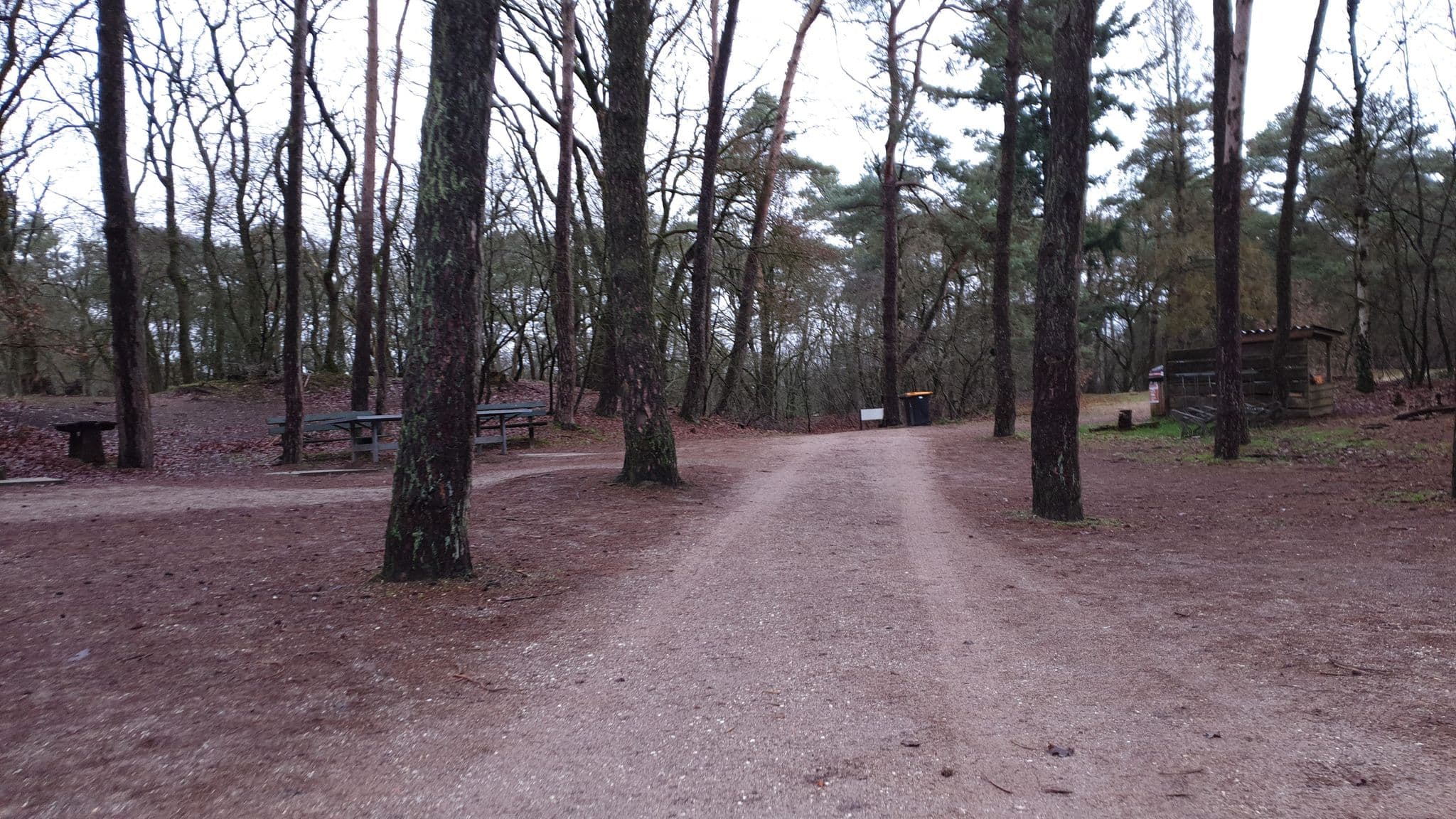 Street view near De Heidewachter, Otterlo — © patrikja (CC BY-SA · Mapillary)