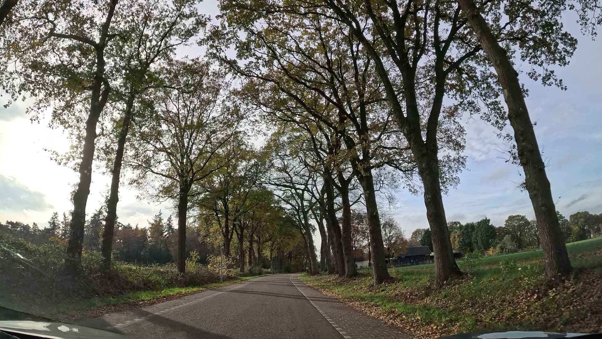 Street view near Bakhuus de Houtkamp, Otterlo — © thewizard (CC BY-SA · Mapillary)