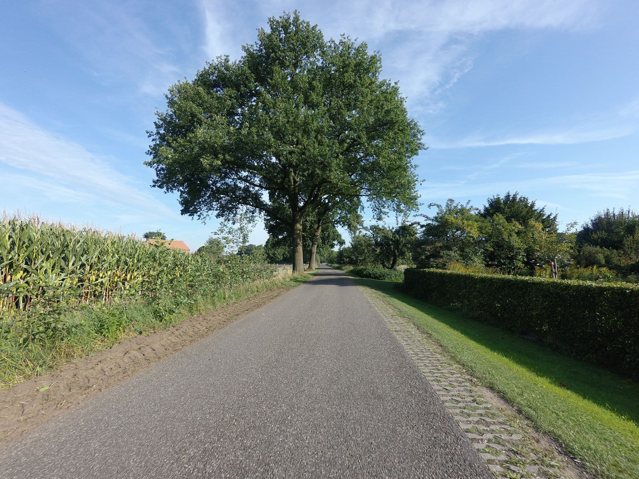 Street view near natuurlijkBUITEN, Wisch — © ankeric (CC BY-SA · Mapillary)