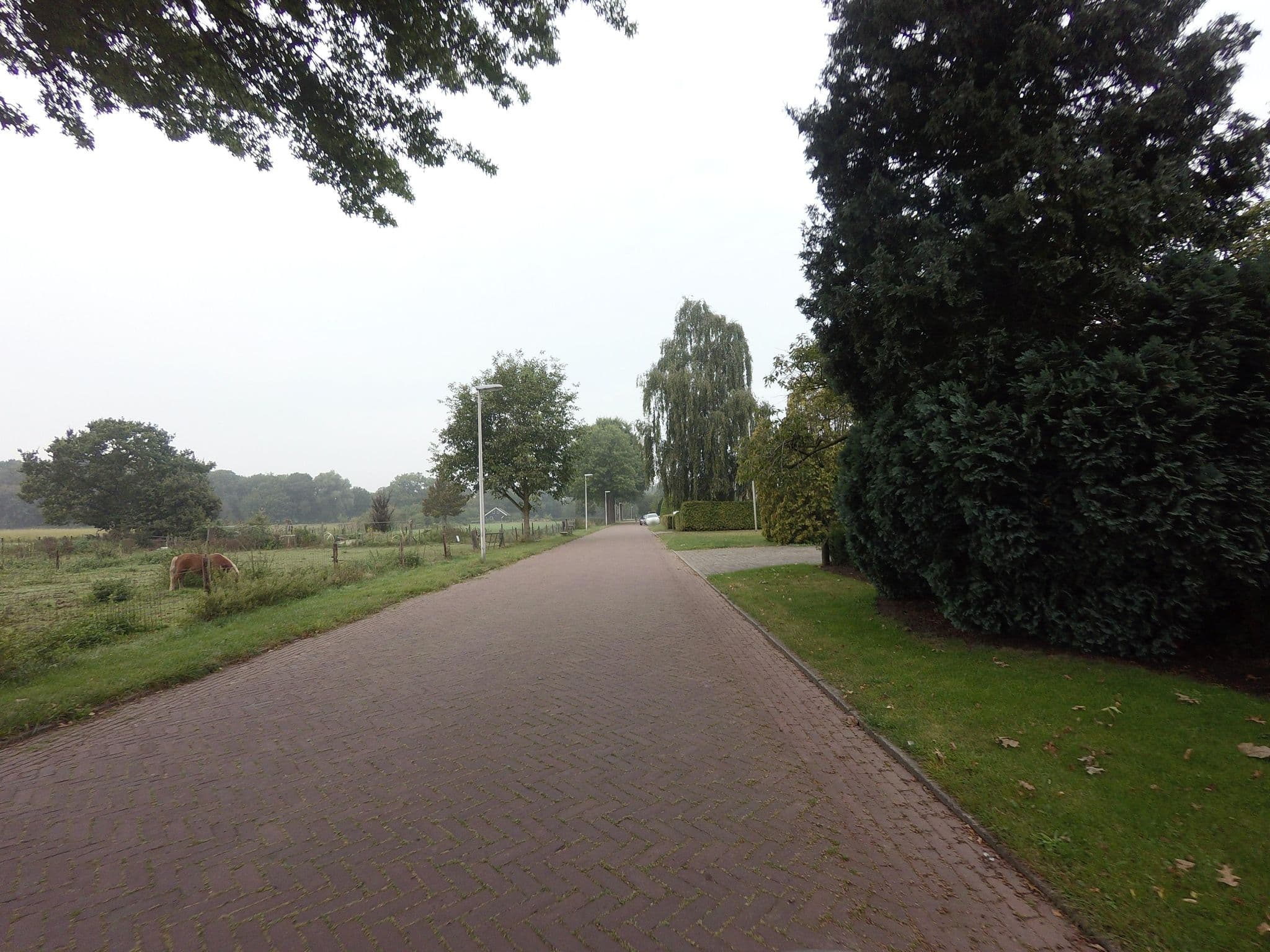 Street view near Mercure Hotel Deventer, Schalkhaar — © ankeric (CC BY-SA · Mapillary)