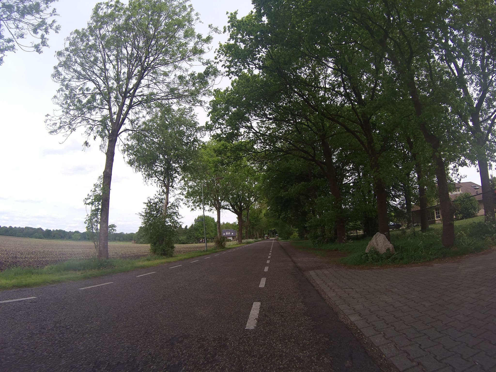 Street view near Pensionstalling Horperhoeve, Schoonoord — © ligfietser (CC BY-SA · Mapillary)