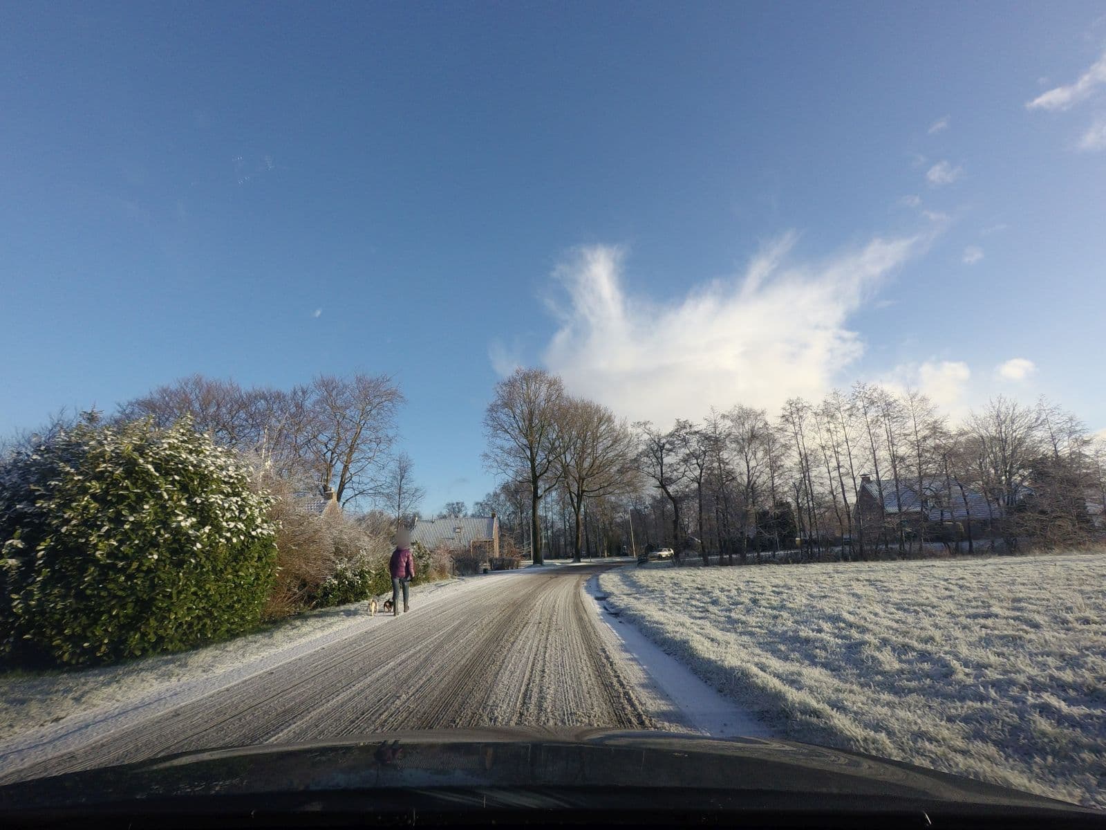 Street view near ‘t Wylde Pad, Twijzelerheide — © larsnl (CC BY-SA · Mapillary)