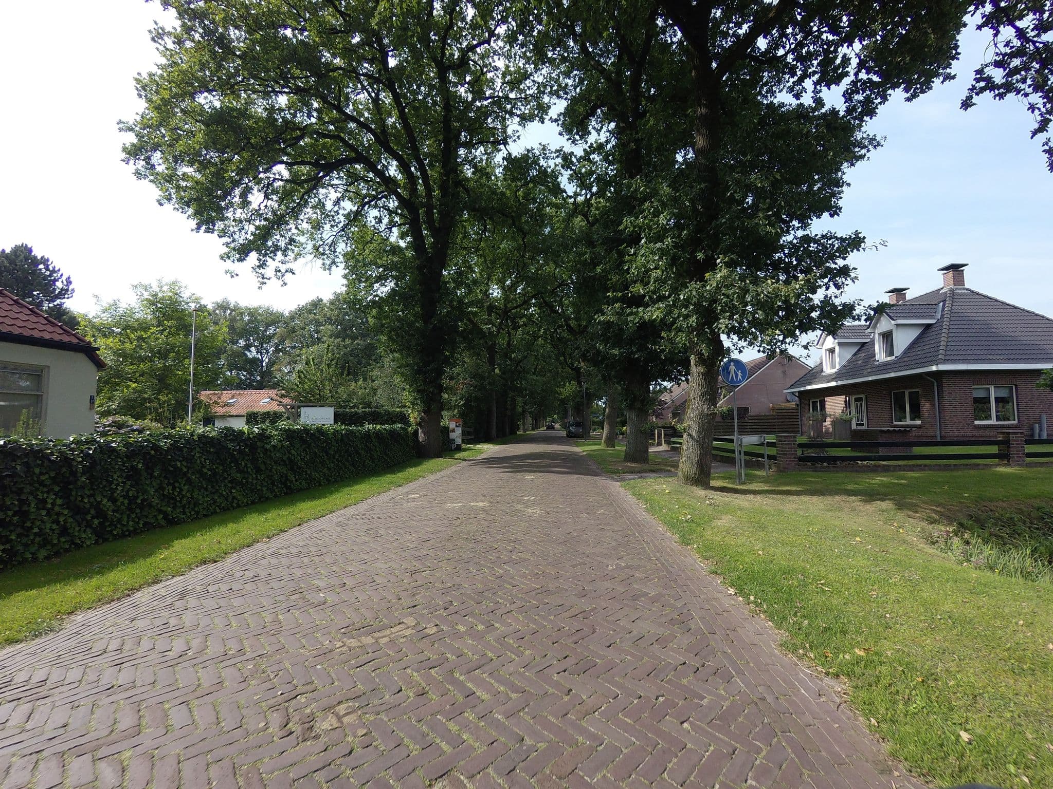 Street view near De Blauwe Bok, Appelscha — © ankeric (CC BY-SA · Mapillary)