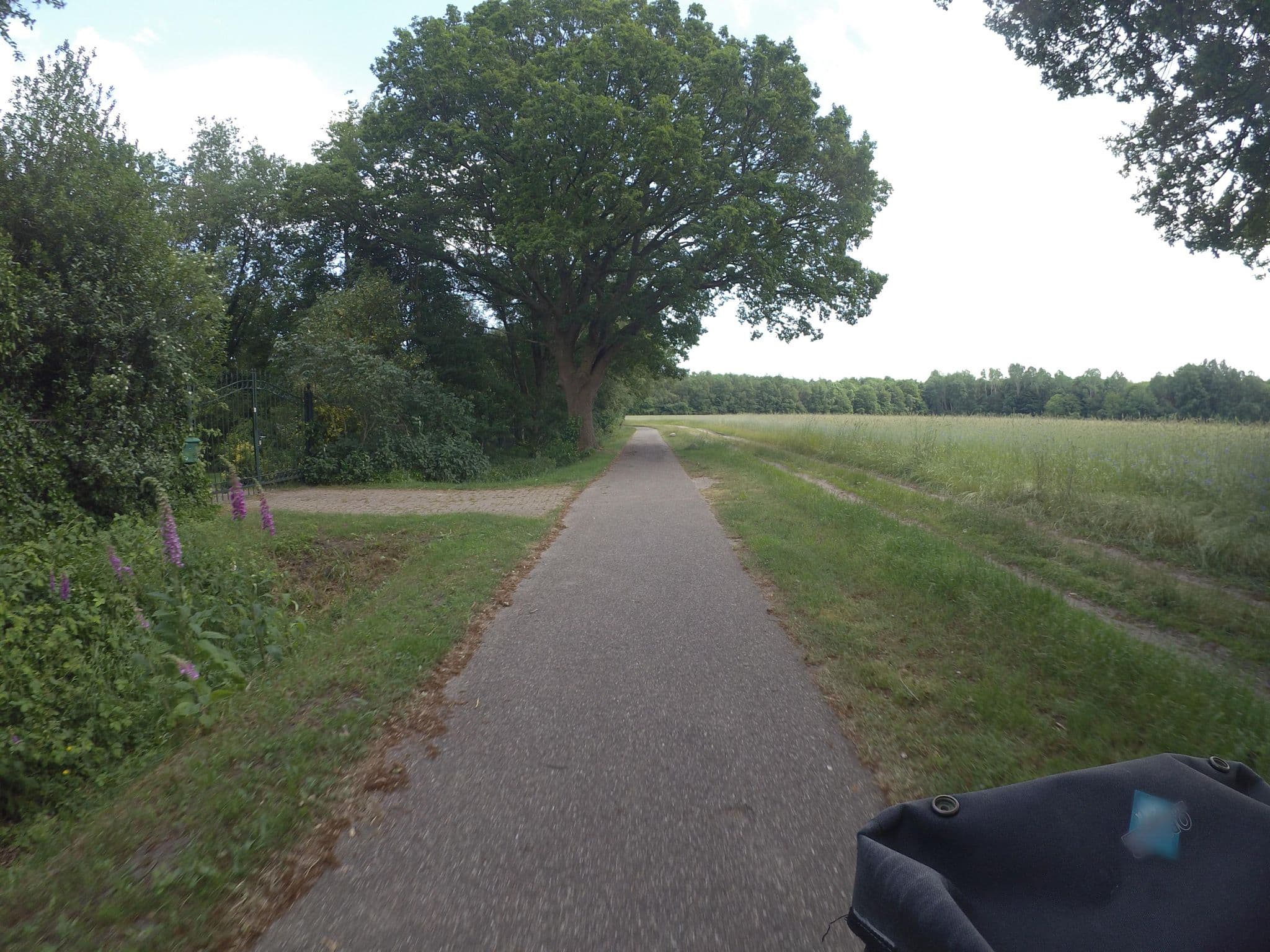 Street view near Het Witte Huisje, Beilen — © marczoutendijk (CC BY-SA · Mapillary)