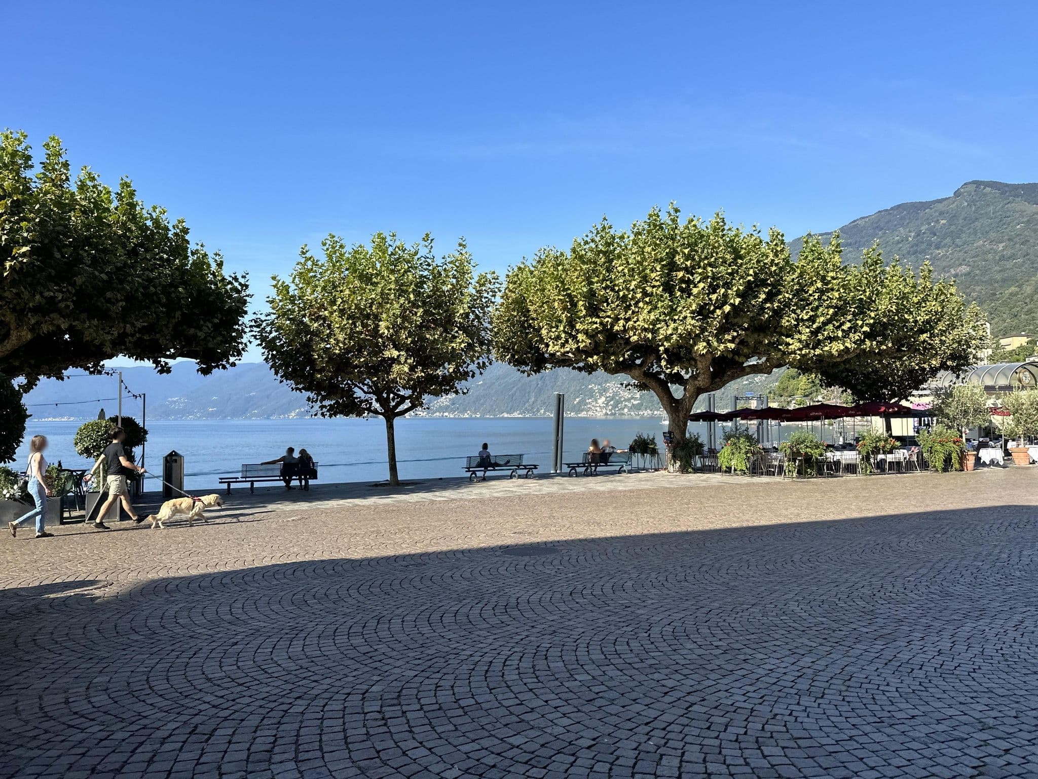 Street view near Casa la Preferita, Ascona — © RSTQ (CC BY-SA · Mapillary)