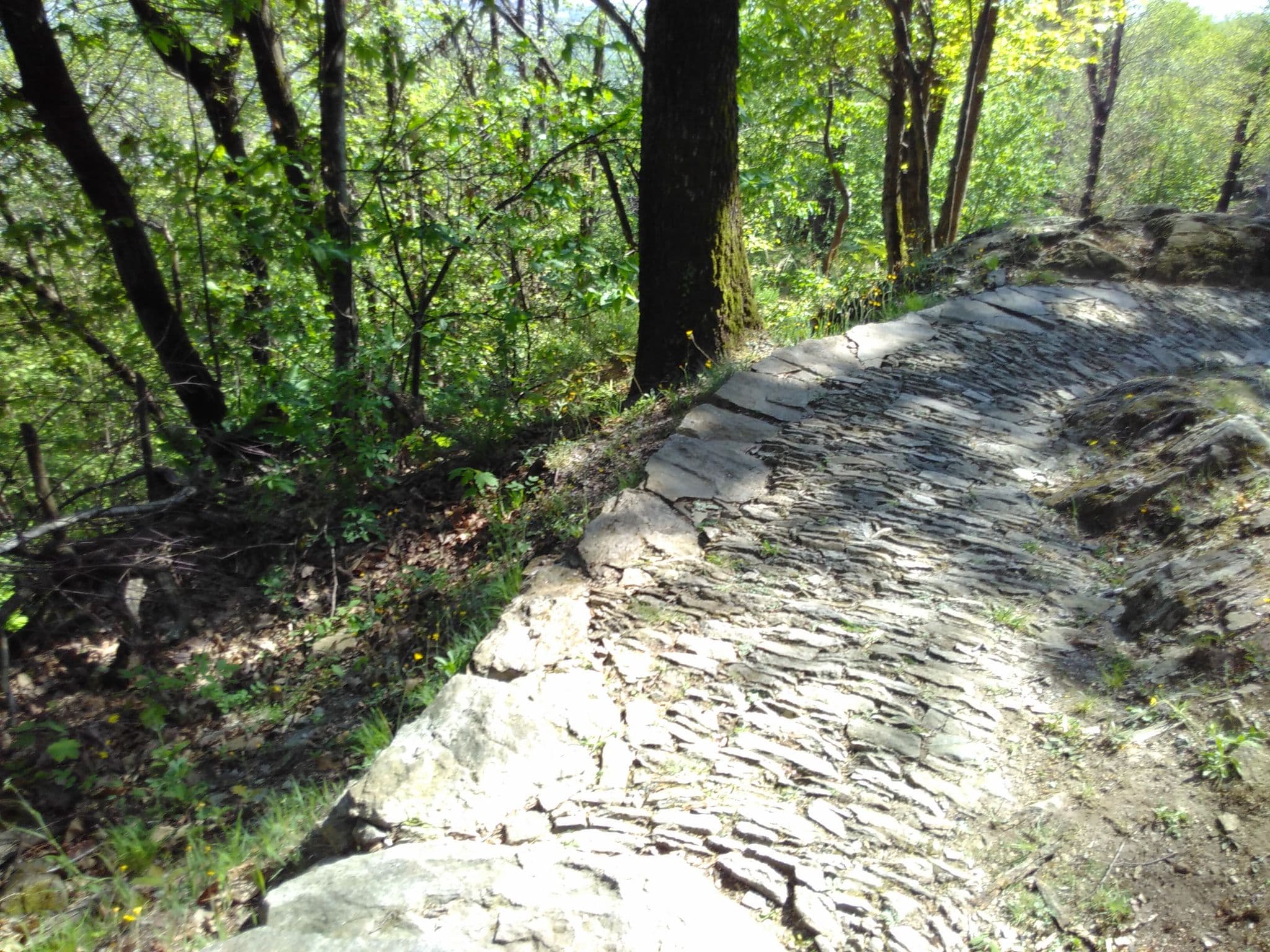 Street view near Holiday Home Ca Tassitt Monte Carasso, Monte Carasso — © lto (CC BY-SA · Mapillary)