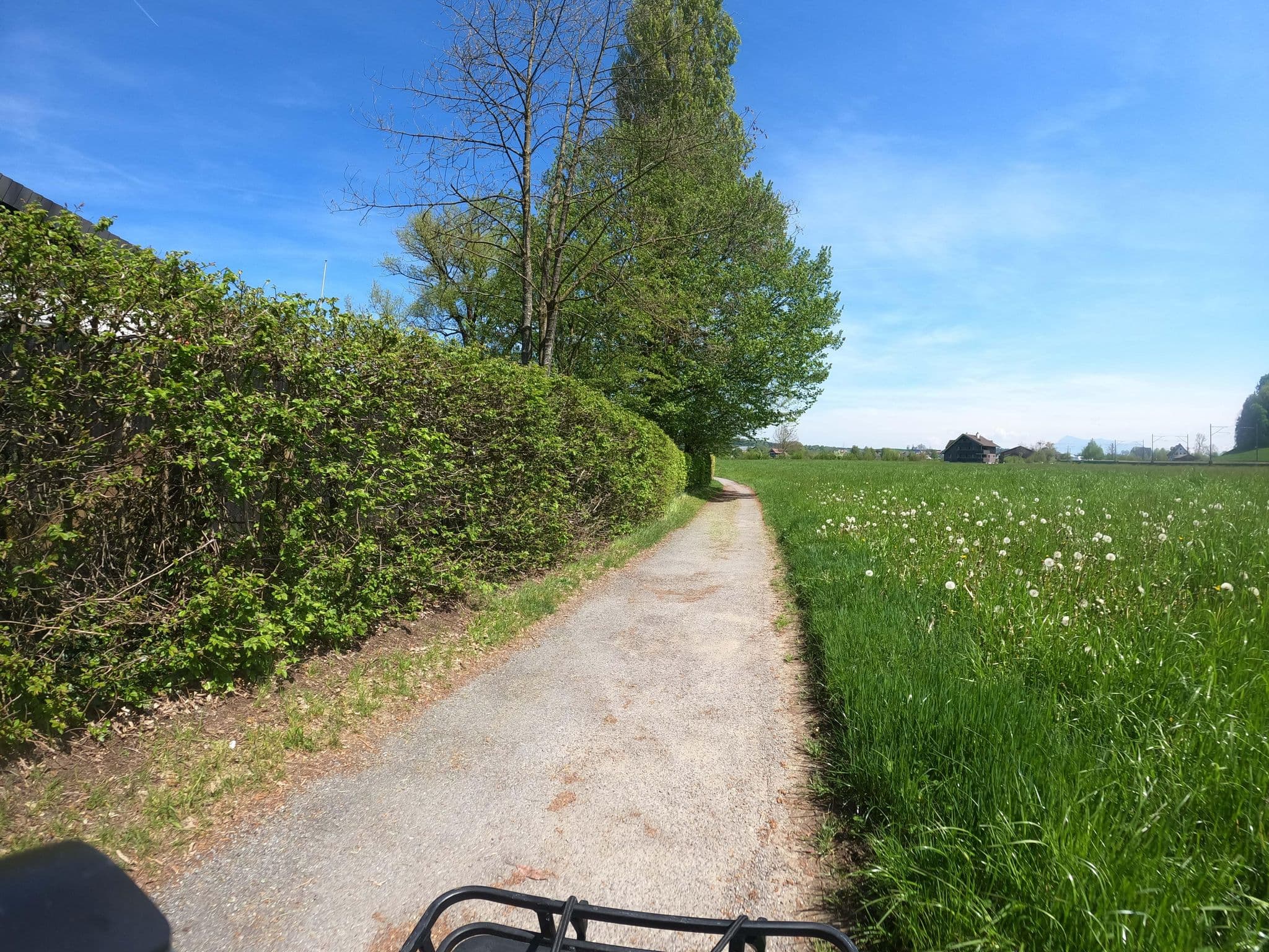 Street view near Schnäpf, Sempach — © blubberblubb (CC BY-SA · Mapillary)