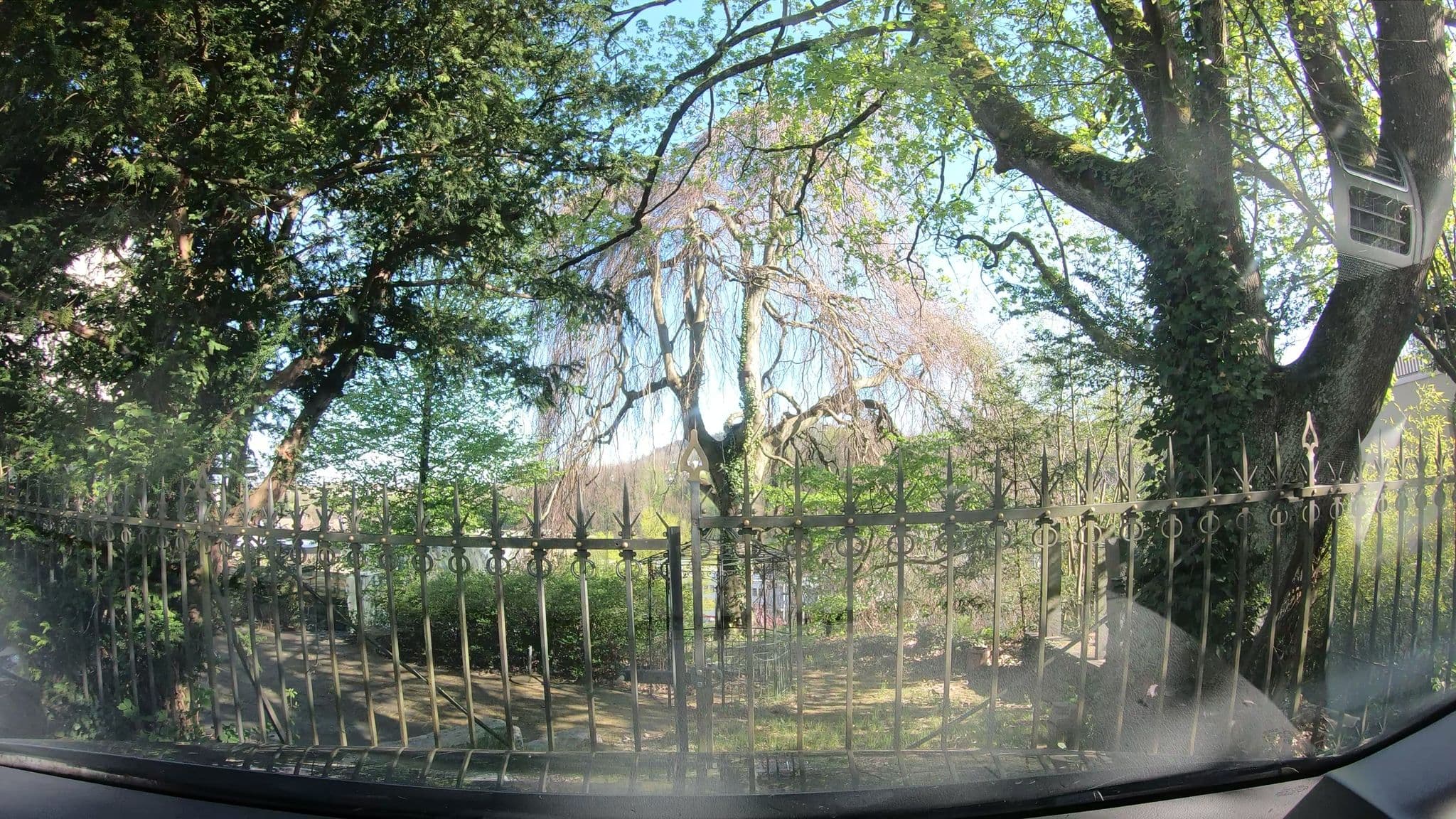 Street view near Max Schlumpf, Schaffhausen — © canadarunner (CC BY-SA · Mapillary)