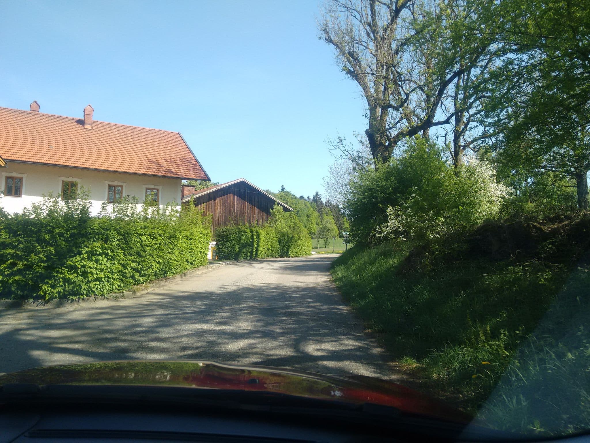 Street view near BAUMKRONENWEG Gasthaus Oachkatzl, Münzkirchen — © gzin (CC BY-SA · Mapillary)