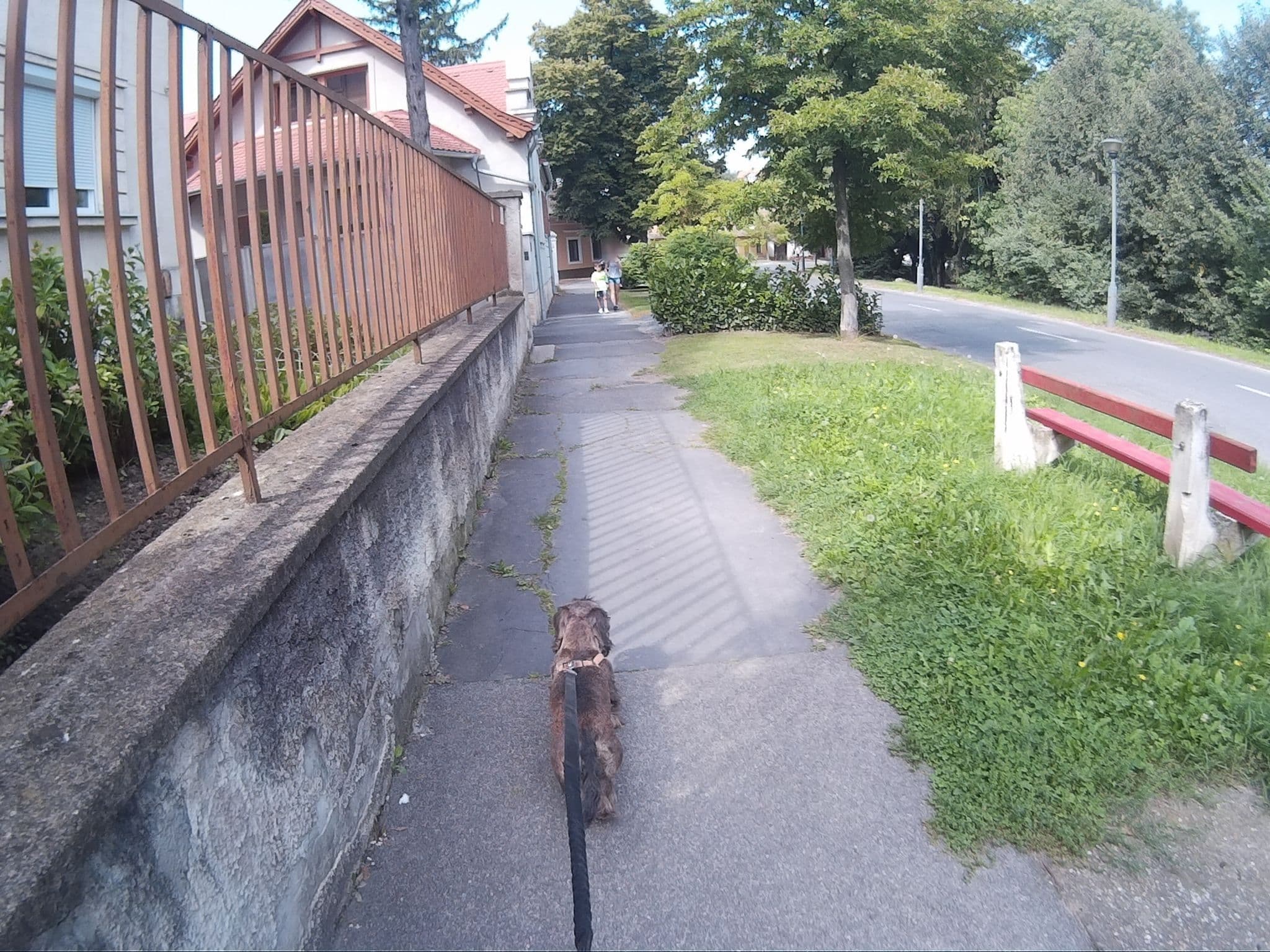 Street view near Várfal Apartman Kőszeg, Kőszeg — © heyjoe (CC BY-SA · Mapillary)