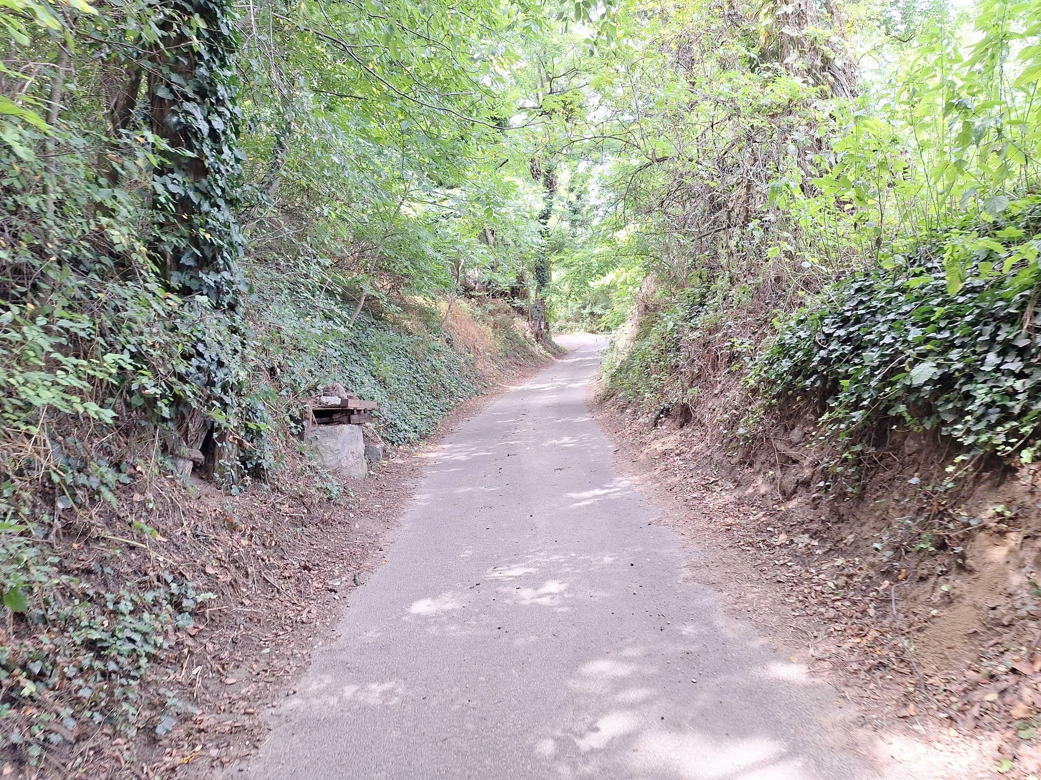 Street view near Pipacs, Devecser — © mmate (CC BY-SA · Mapillary)