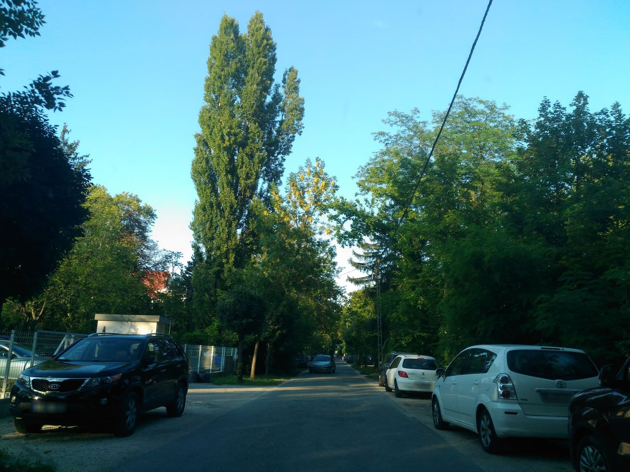 Street view near Platán Panzió, Balatonszemes — © esandorhu (CC BY-SA · Mapillary)