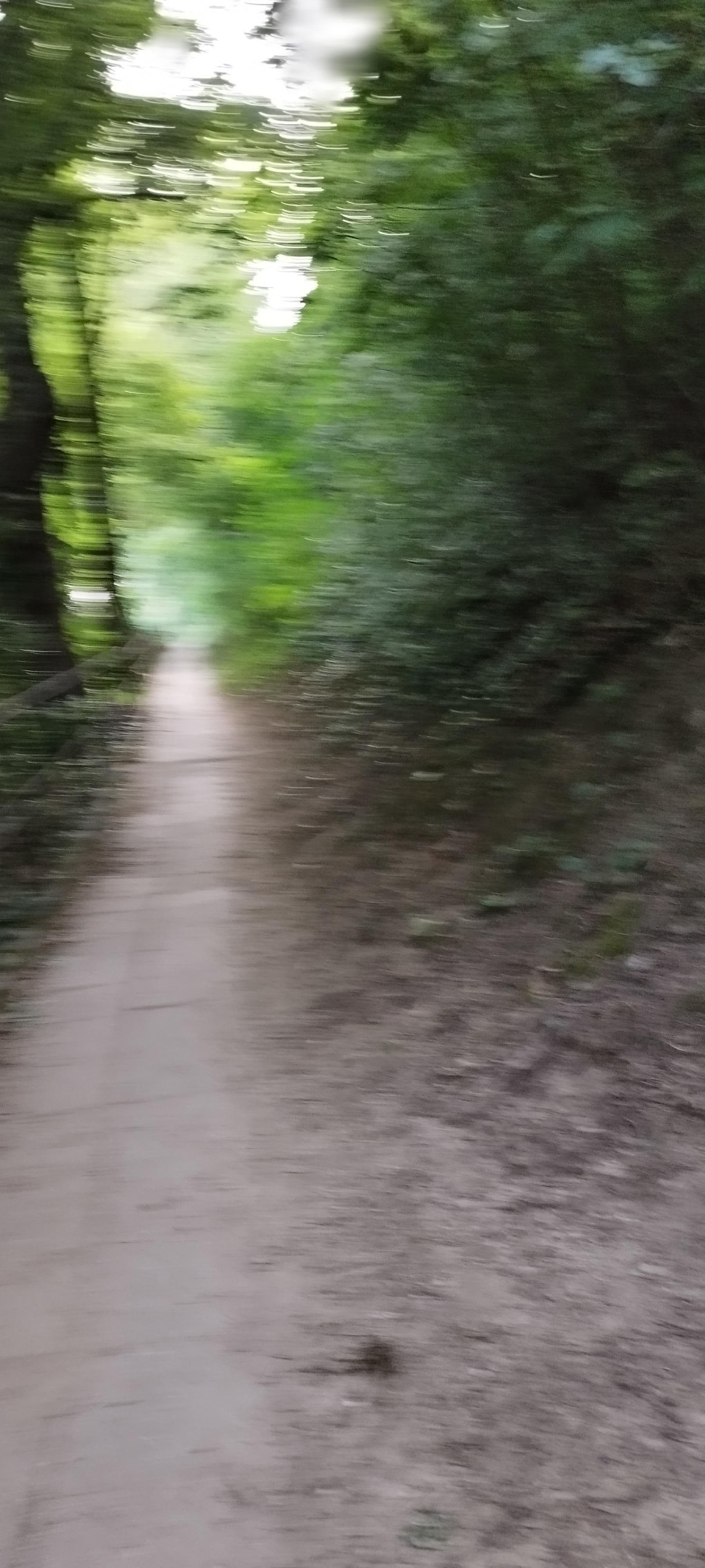 Street view near Vízparti Apartman, Balatonvilágos — © grozsa11 (CC BY-SA · Mapillary)