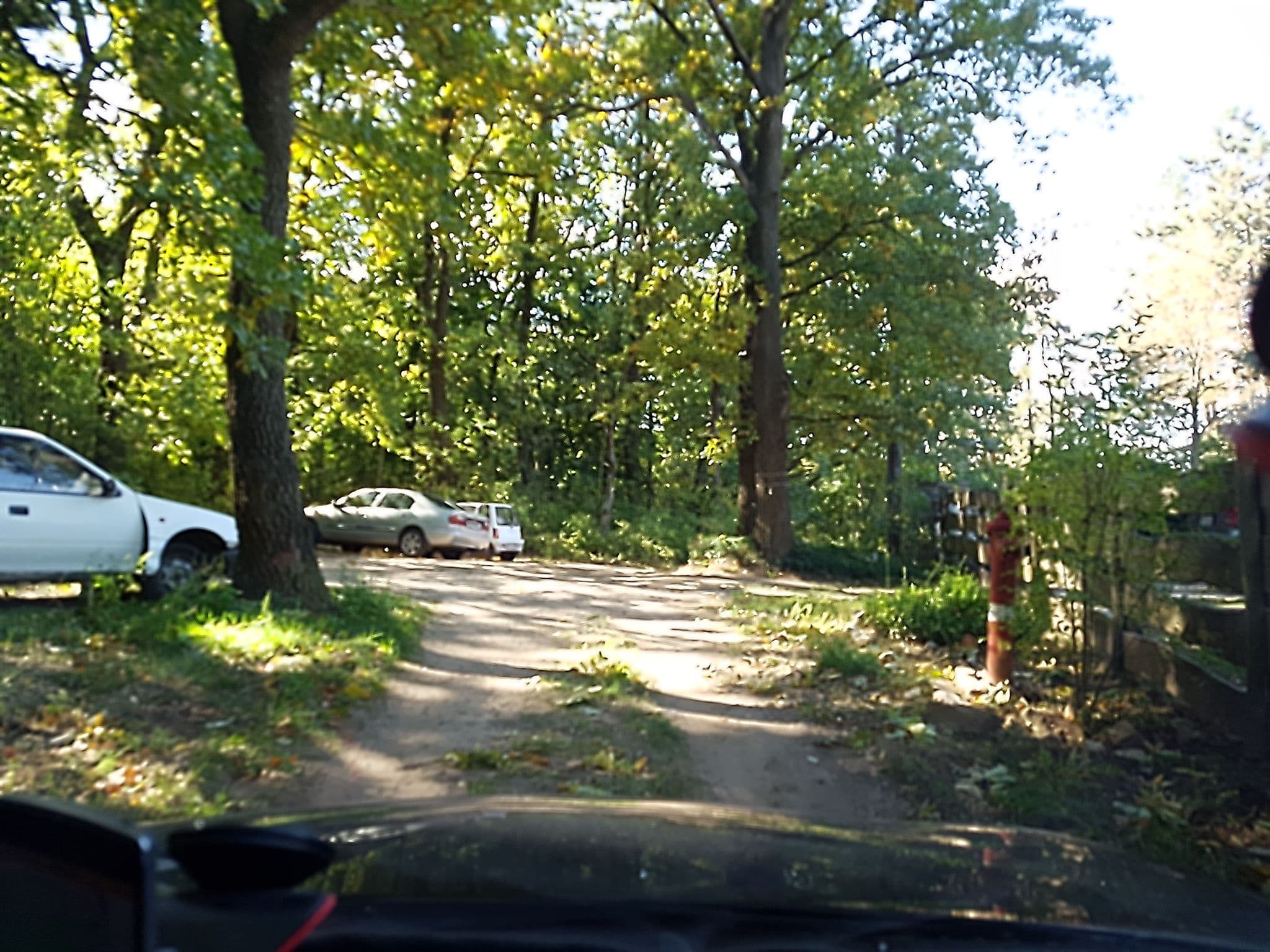 Street view near Napkorong fogadó, Piliscsaba — © grin (CC BY-SA · Mapillary)