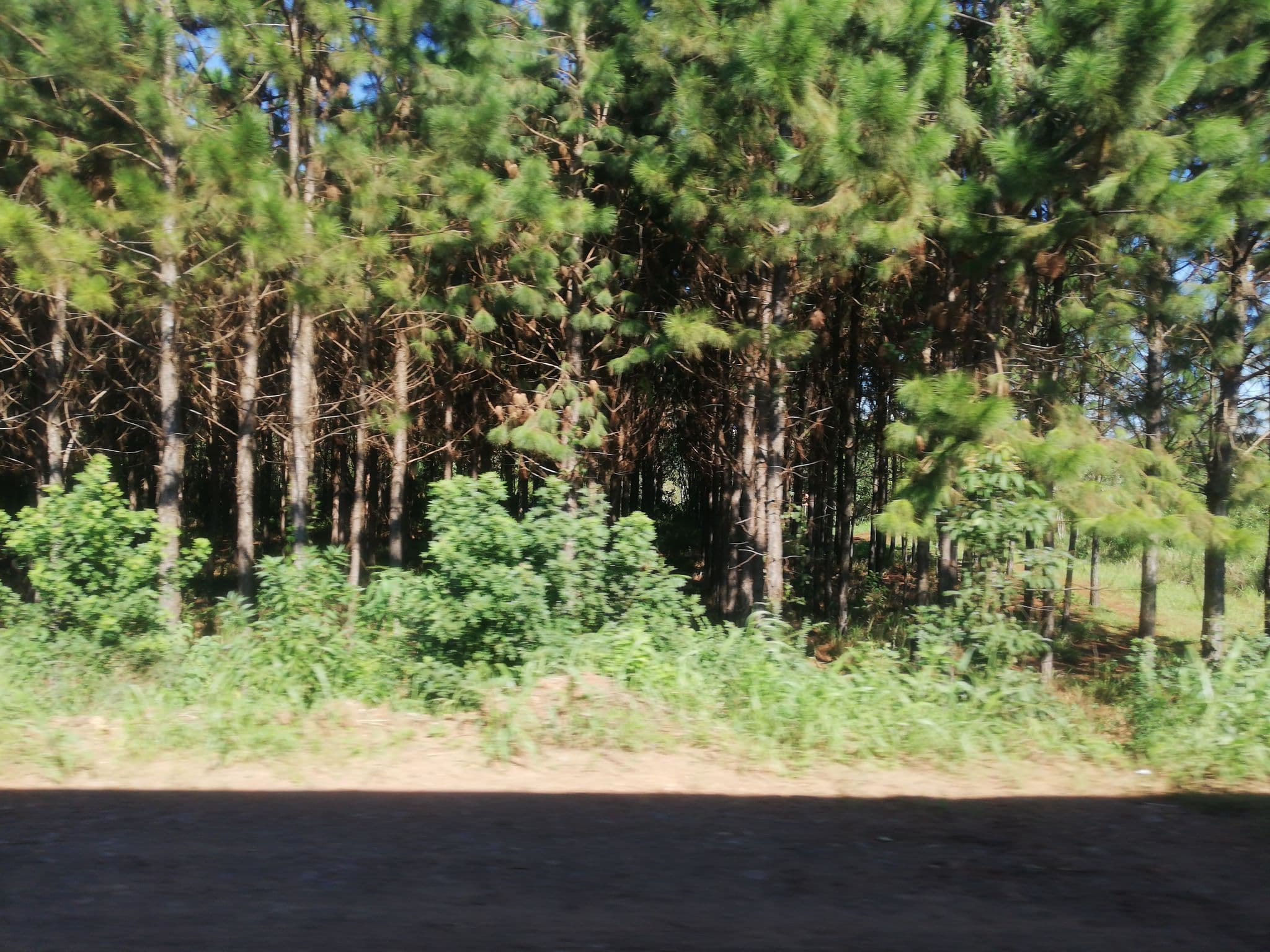 Street view near Parque Natural Educativo Akemi, Villa Roulet — © carlosbrys (CC BY-SA · Mapillary)
