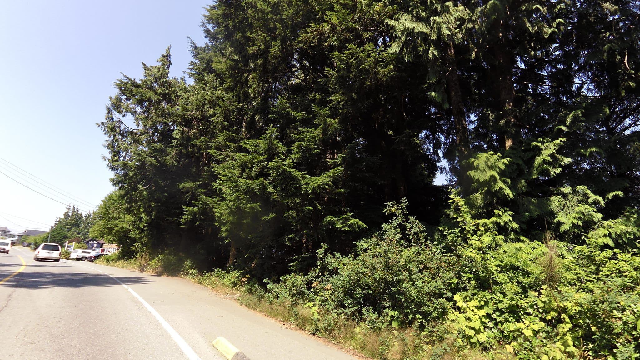 Street view near Elk Landing, Tofino — © rps333 (CC BY-SA · Mapillary)