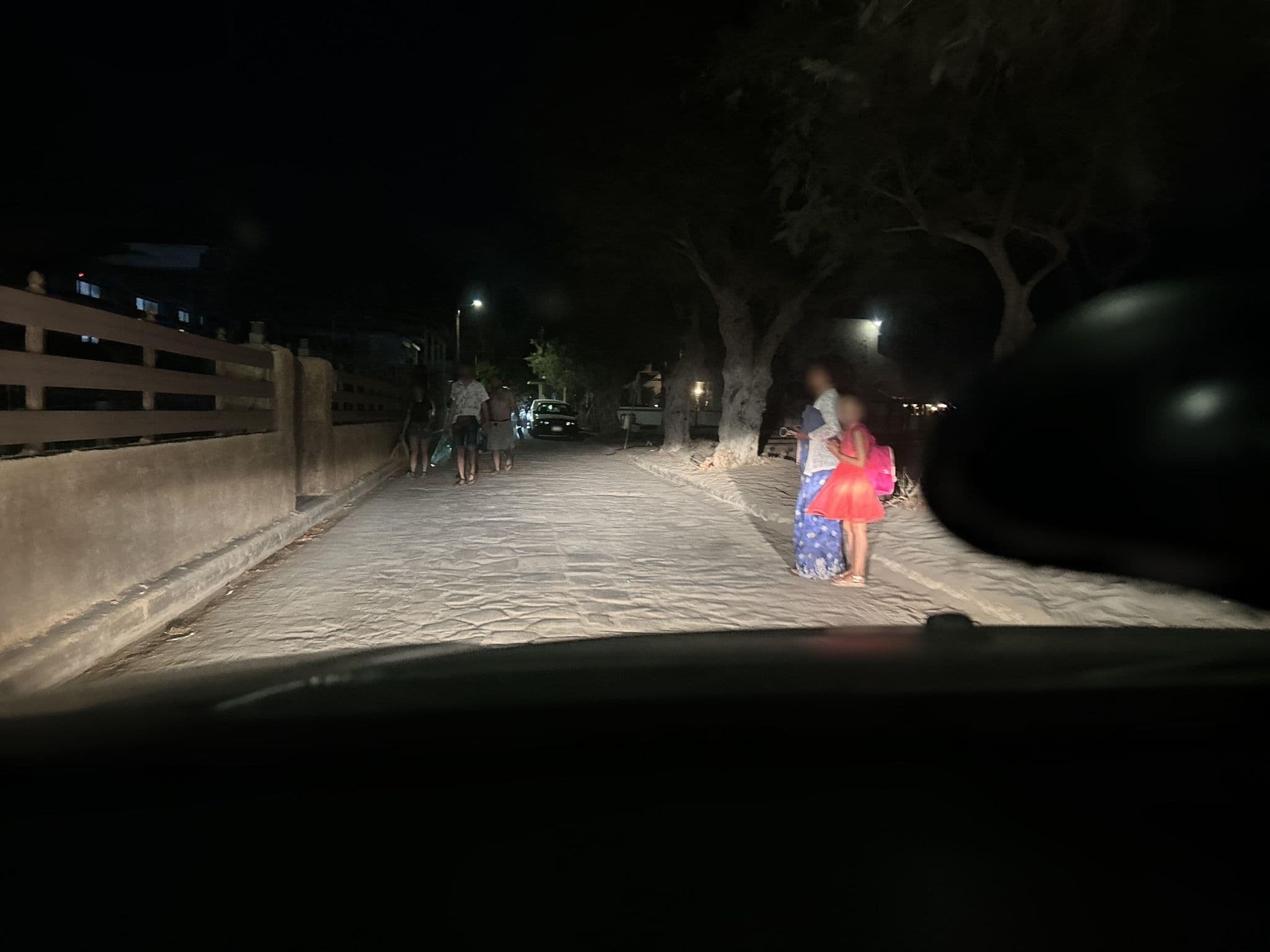 Street view near Aegean Heaven, Eresós — © ctsonis (CC BY-SA · Mapillary)