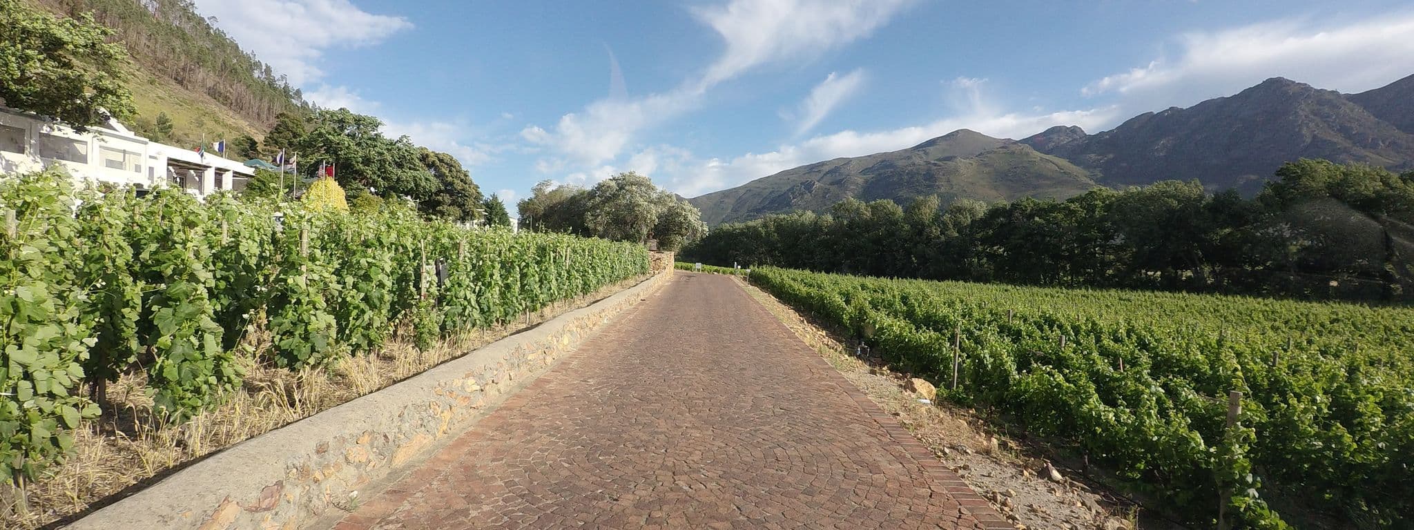 Street view near Rickety Bridge Country House Franschhoek, Le Roux — © tallguy (CC BY-SA · Mapillary)