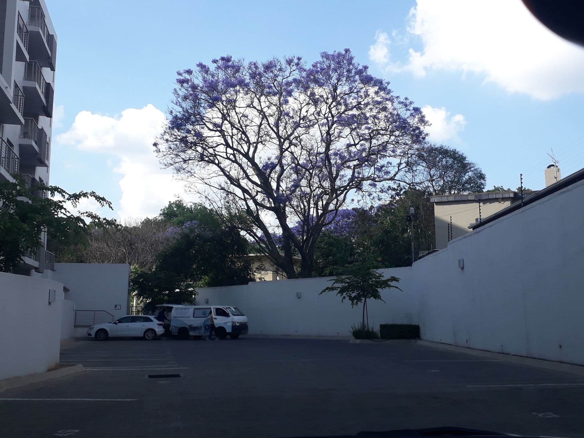 Street view near The Capital on Bath, Randburg — © lenah (CC BY-SA · Mapillary)