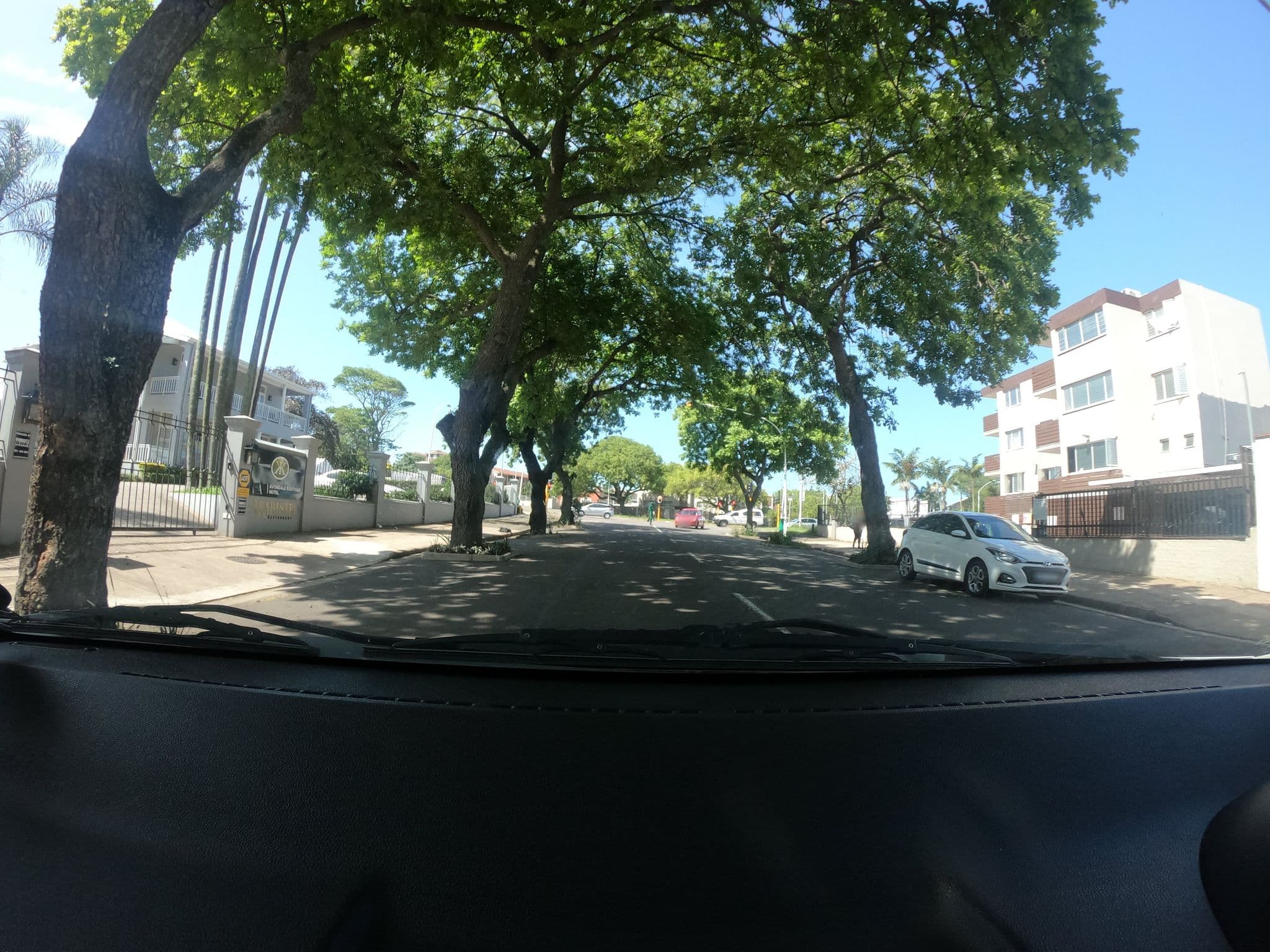 Street view near Avondale Boutique Hotel, Berea — © patrick_dalais (CC BY-SA · Mapillary)