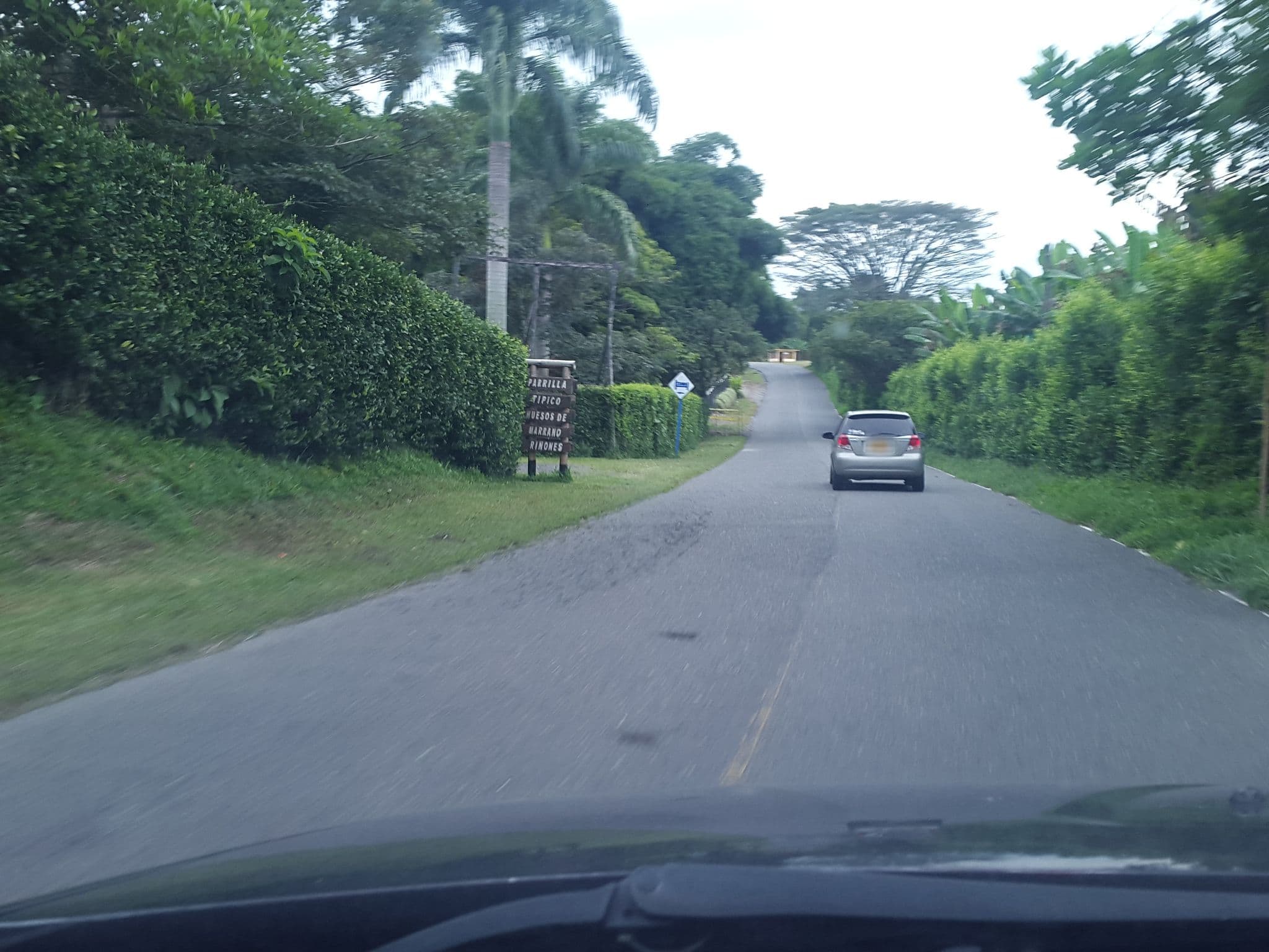 Street view near Hotel Campestre Los Arrayanes, La Tebaida — © rpachon19 (CC BY-SA · Mapillary)