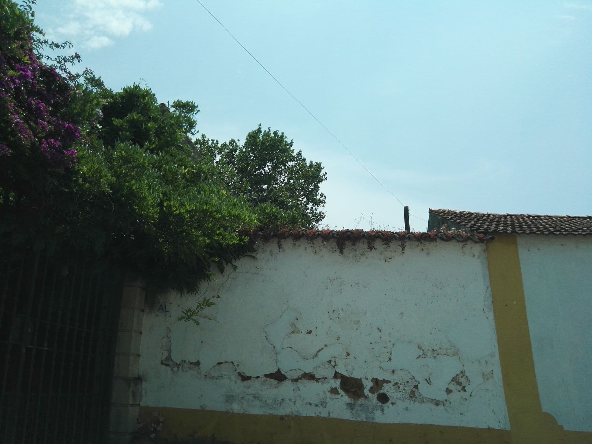 Street view near Quinta de São João, Golegã — © filipegraciosa (CC BY-SA · Mapillary)
