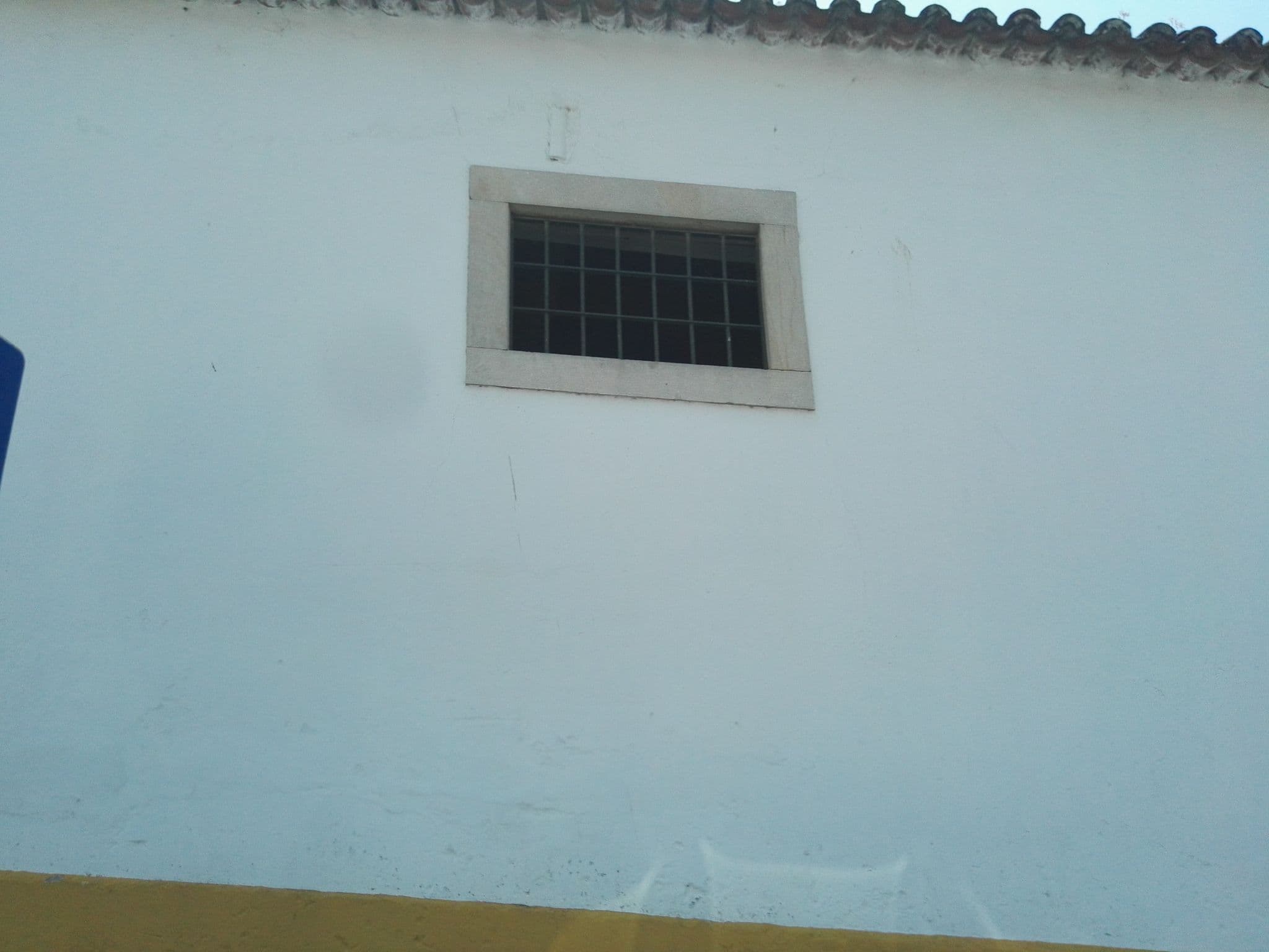 Street view near Pátio da Avó Faustina, Golegã — © filipegraciosa (CC BY-SA · Mapillary)
