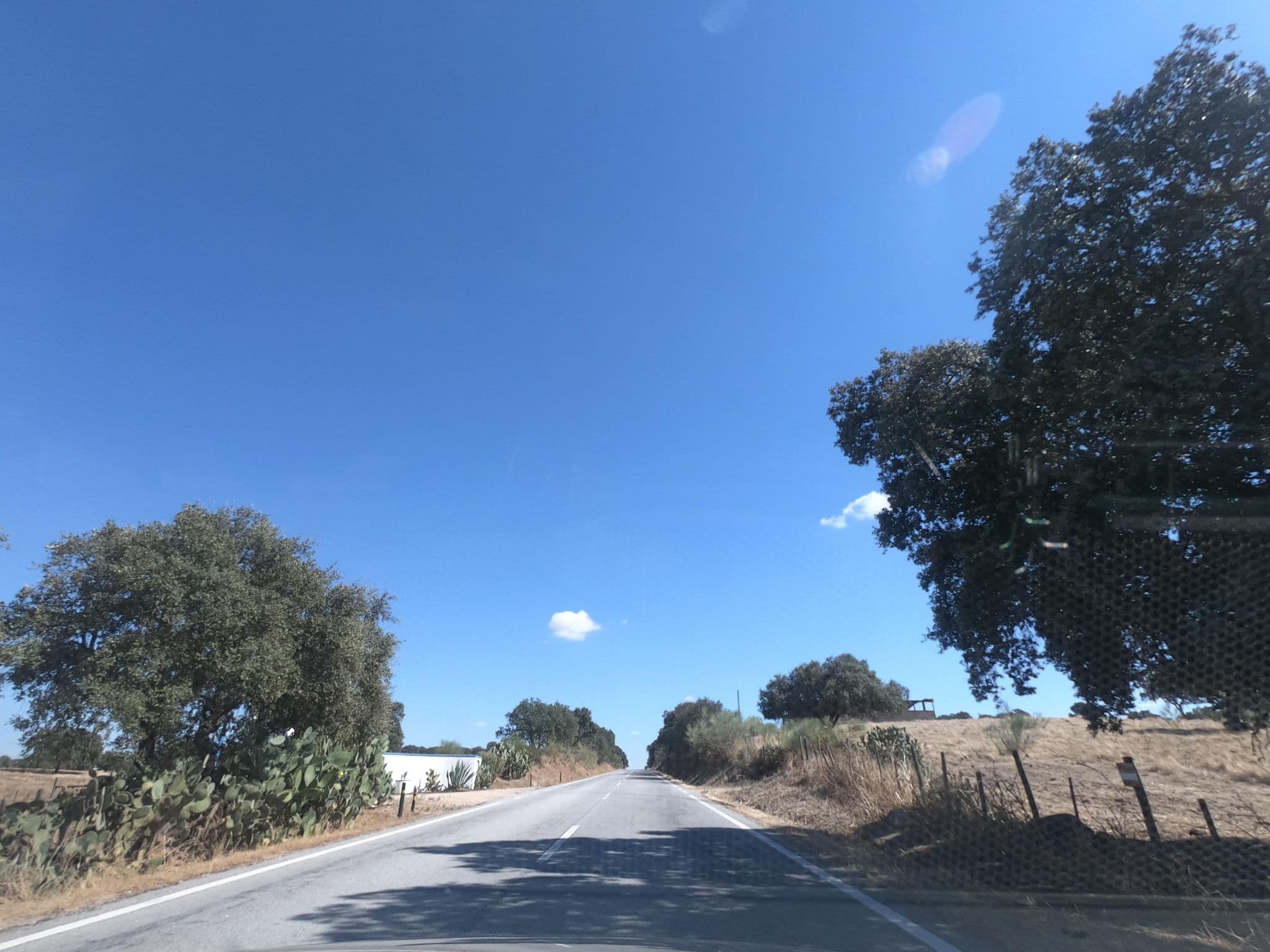 Street view near Herdade do Charito, Campo Maior — © filohipo (CC BY-SA · Mapillary)