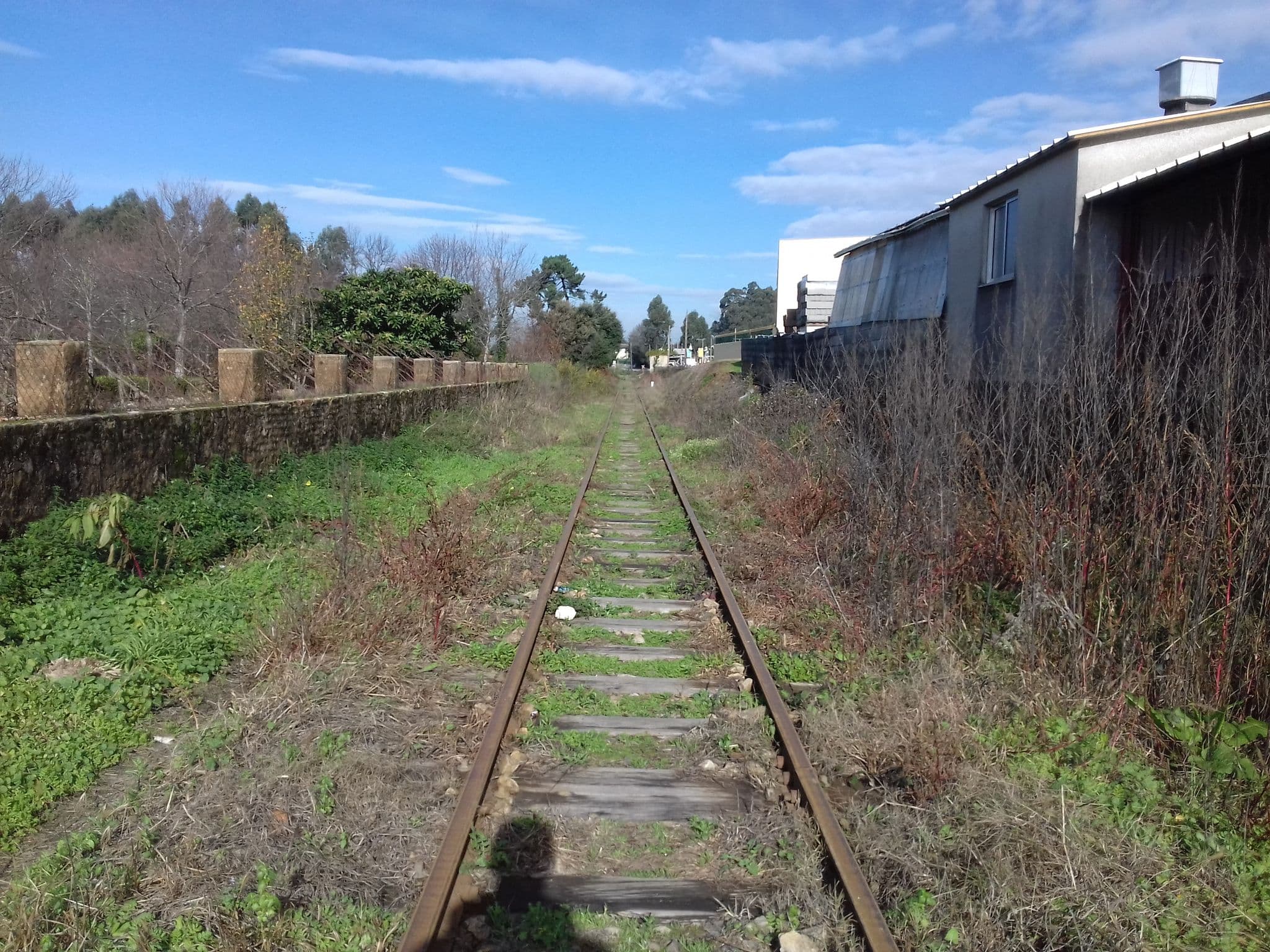 Street view near Pinheirofrio - Equipamentos Hoteleiros, Branca — © gojhdg (CC BY-SA · Mapillary)