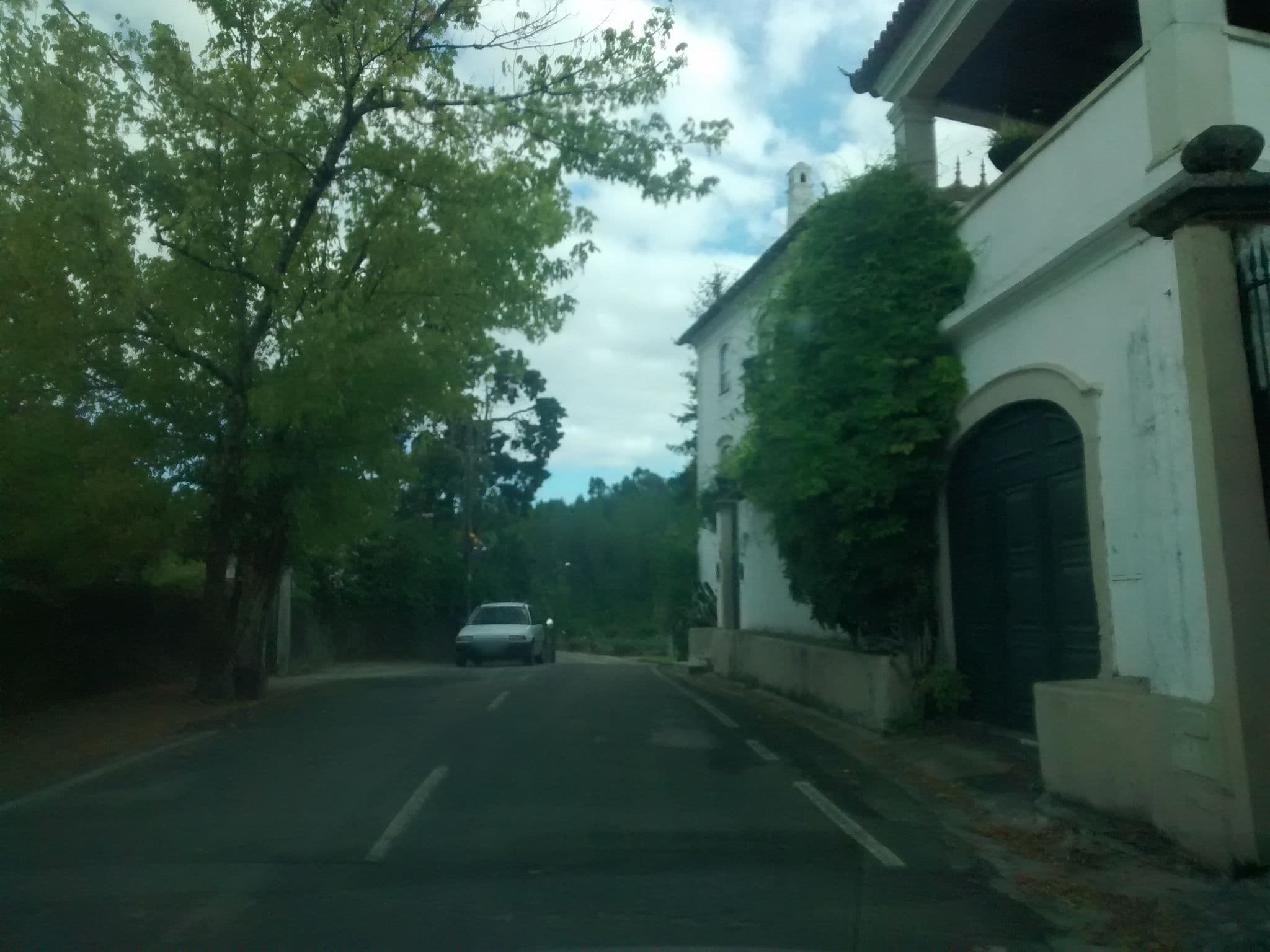 Street view near Quinta De São Lourenço, Sangalhos — © msevilla00 (CC BY-SA · Mapillary)