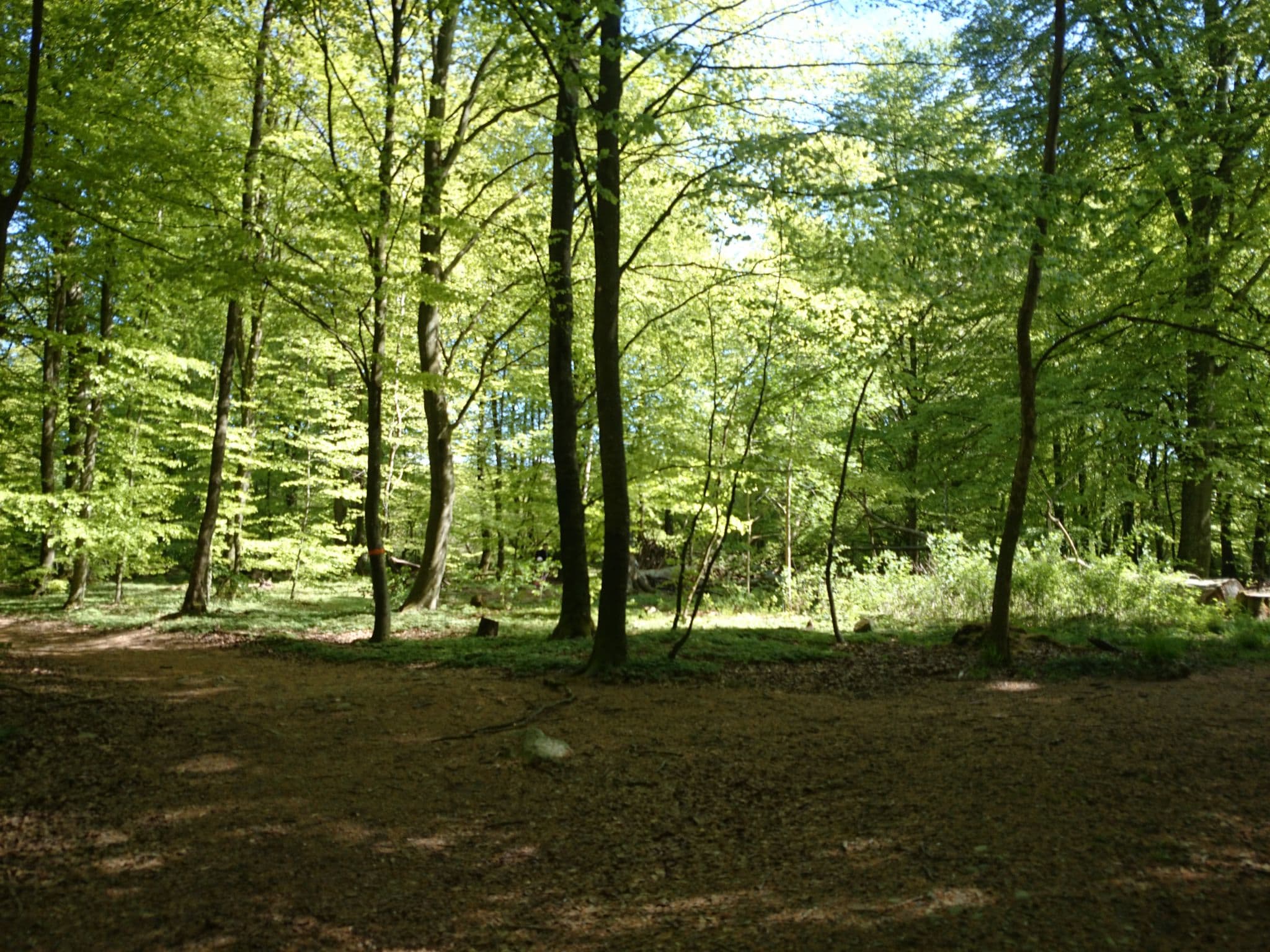 Street view near Trollskogens Gästhus, Dalby — © peterneubauer (CC BY-SA · Mapillary)