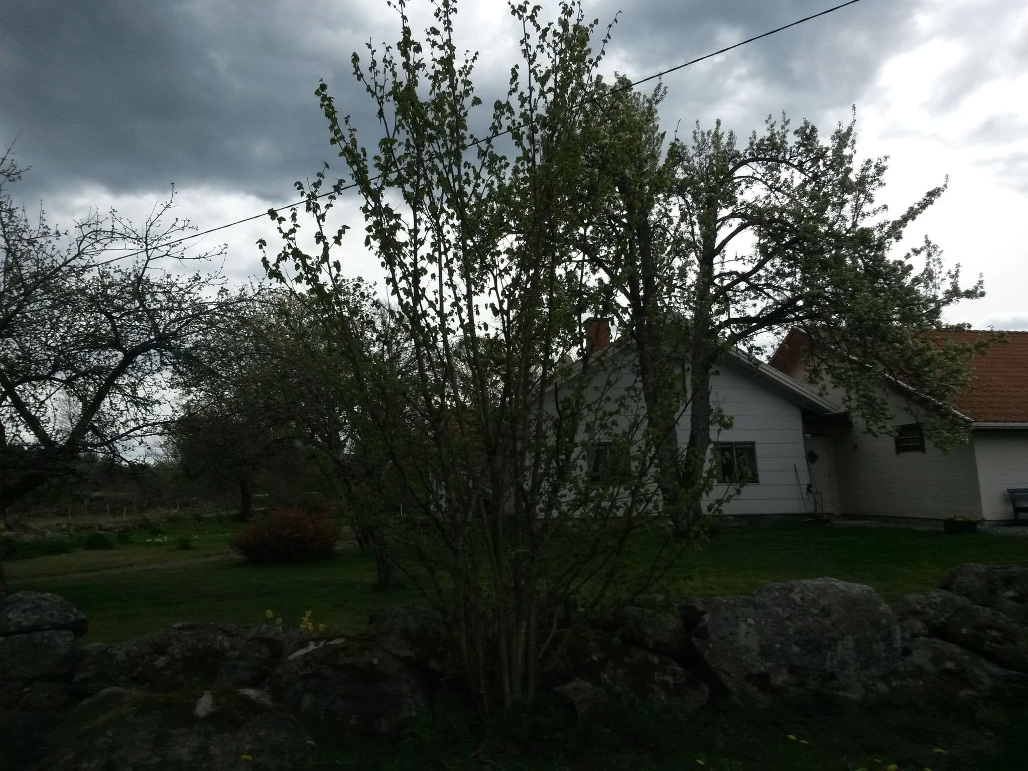 Street view near Bitterna Åkatorp - Lamm & Laktrits, Herrljunga — © agatefilm (CC BY-SA · Mapillary)