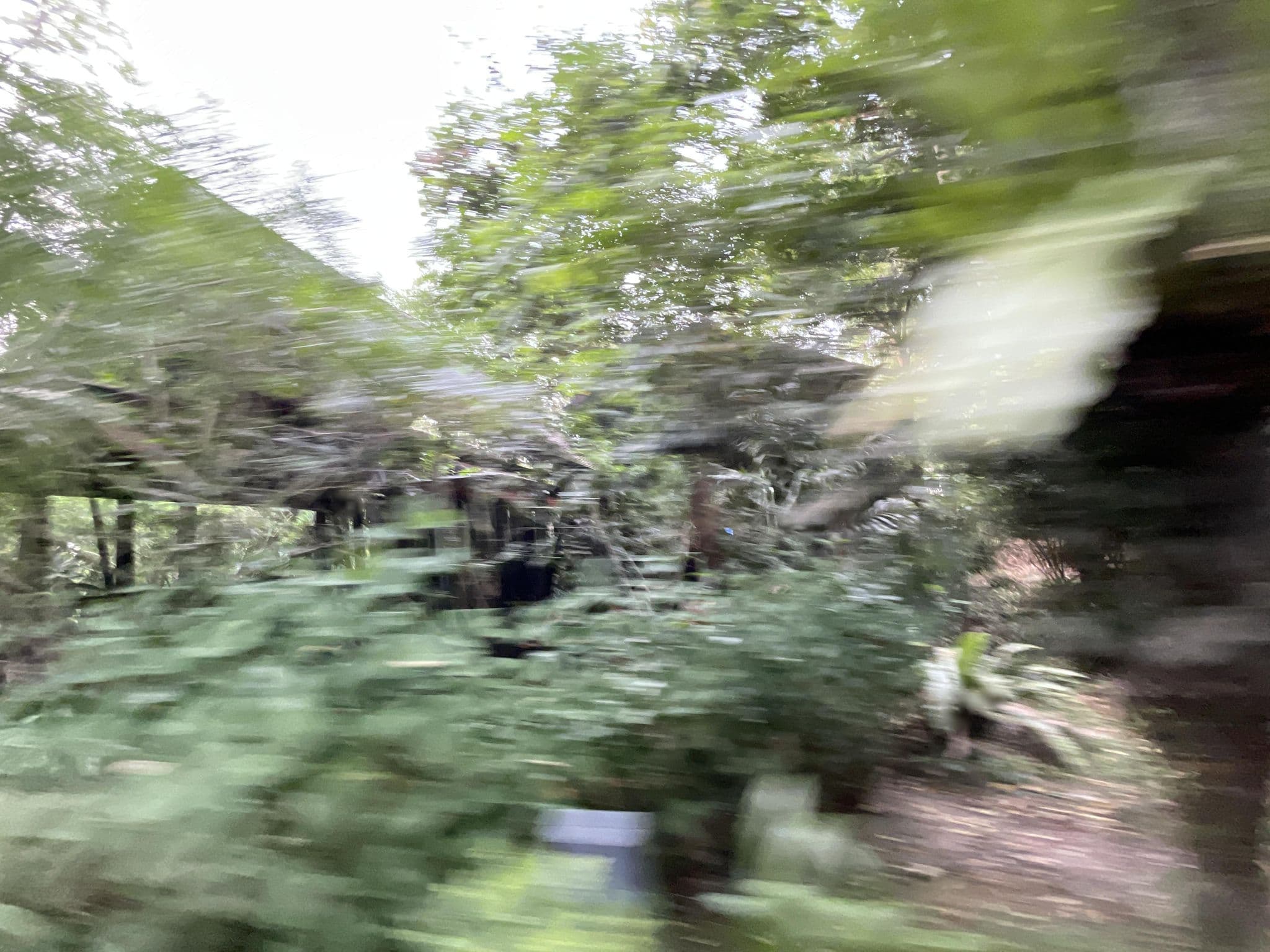 Street view near ALAMANDA 10 (Rainforest Deluxe Room), Kampung Kok — © filipb (CC BY-SA · Mapillary)