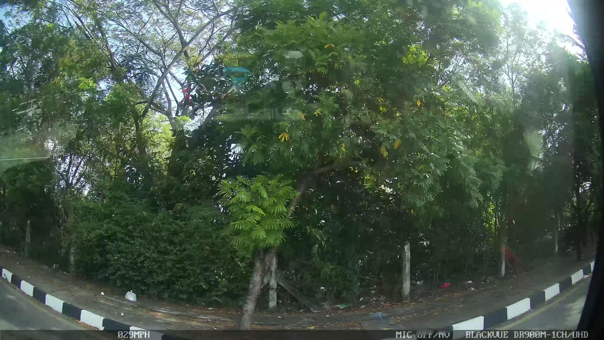 Street view near Pulau Jerjak, Bayan Lepas — © kaart_1 (CC BY-SA · Mapillary)