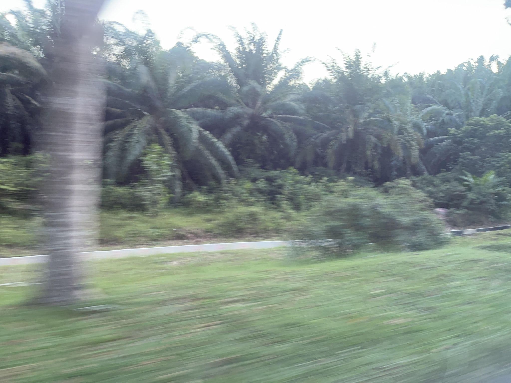 Street view near Munsyi Room, Emperor Hotel Melaka, Kampung Umbai — © DriveWithHoang (CC BY-SA · Mapillary)