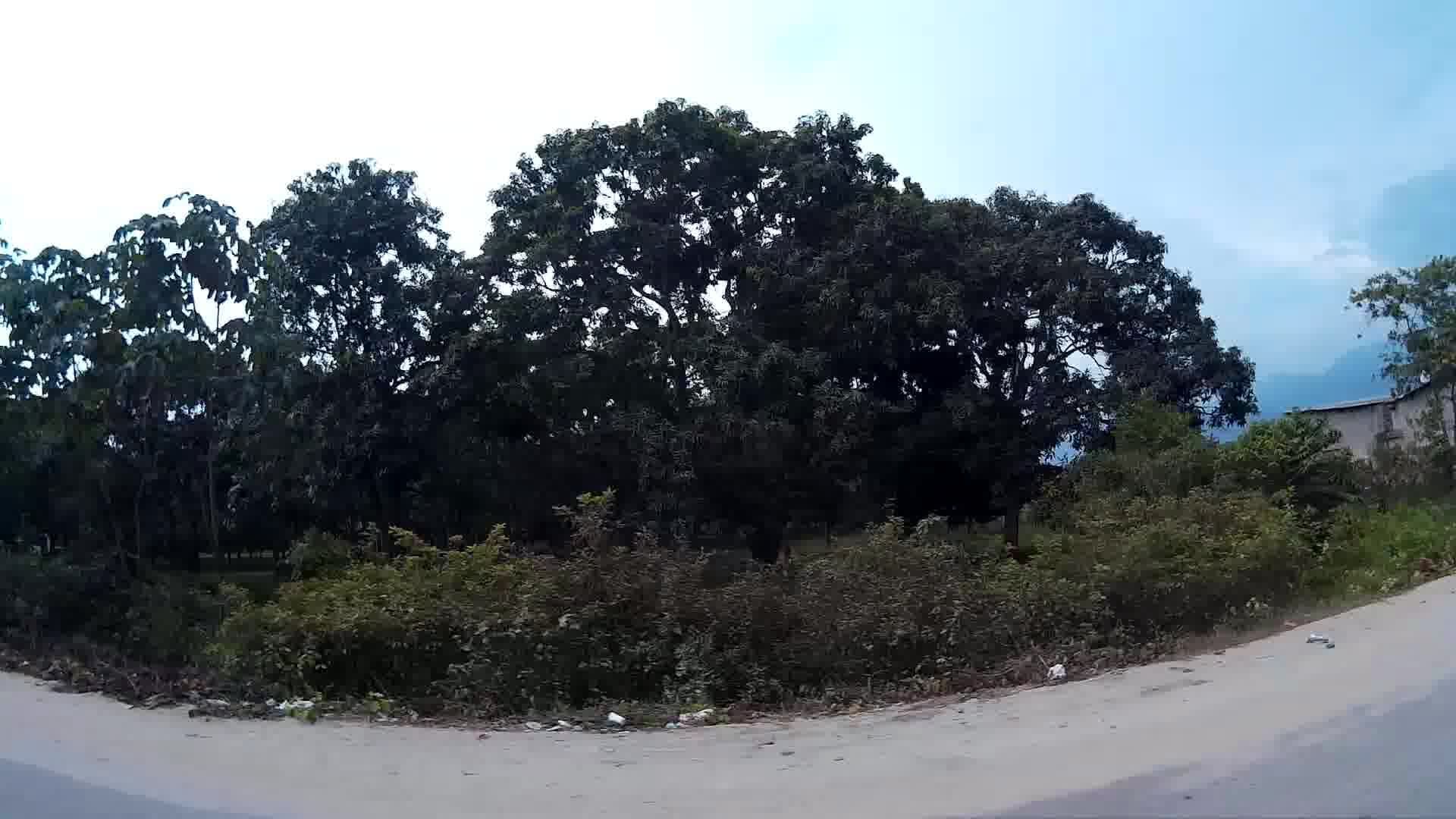 Street view near Nuevo amanecer, Ciénaga — © humano (CC BY-SA · Mapillary)