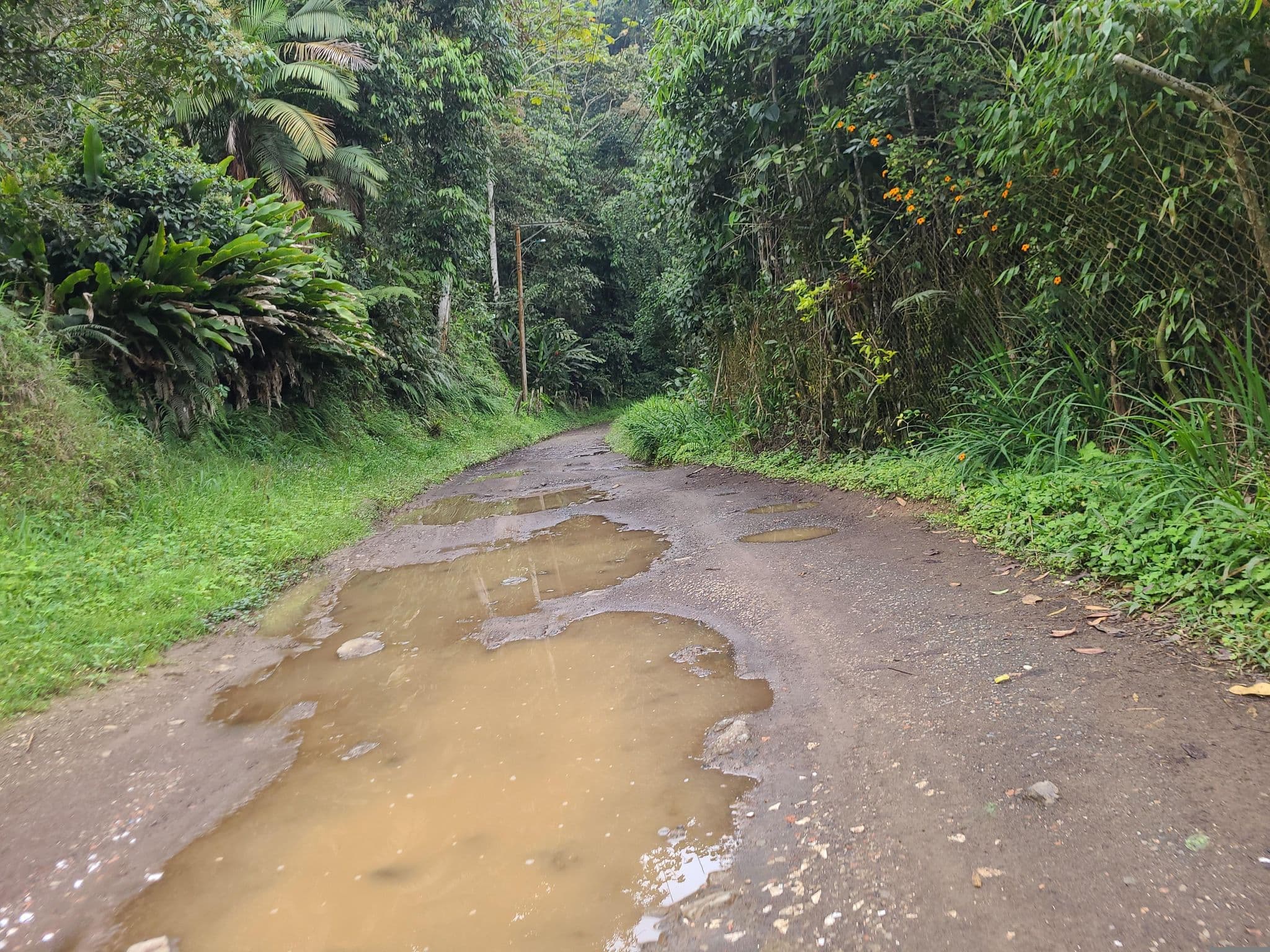 Street view near Finca Alejandría, El Paraiso de los Colibries, Yumbo — © jcmora47 (CC BY-SA · Mapillary)